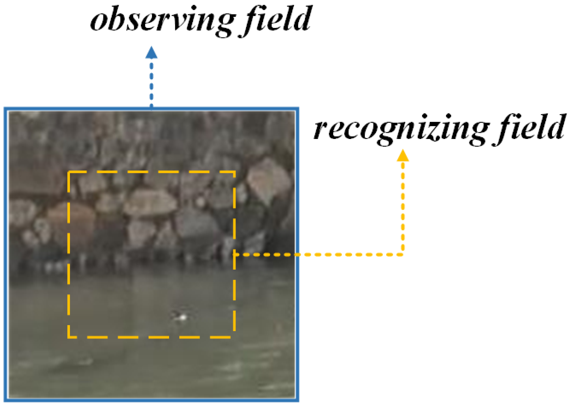 Applsci 13 03164 g002