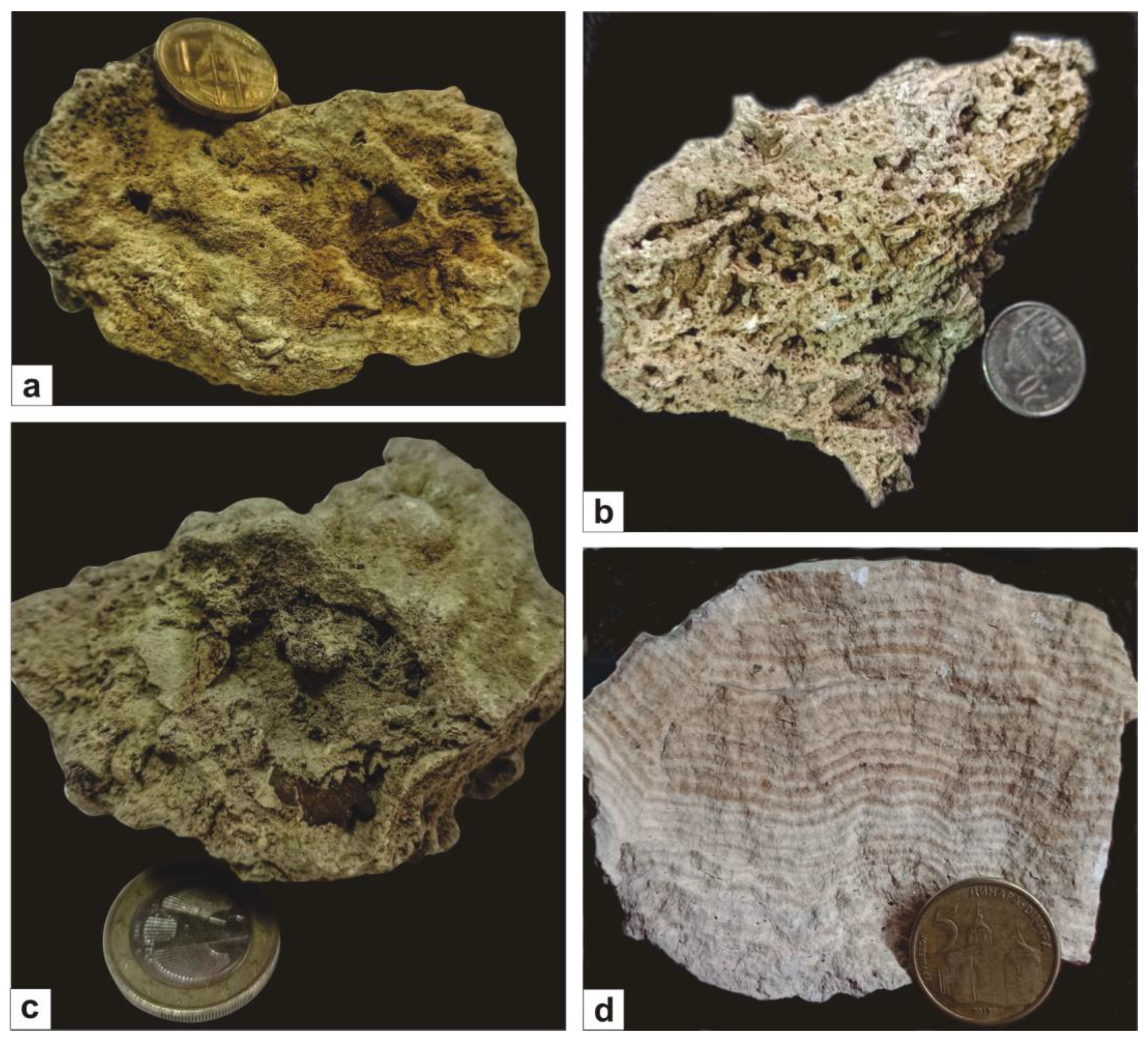 Applsci 13 03190 g003