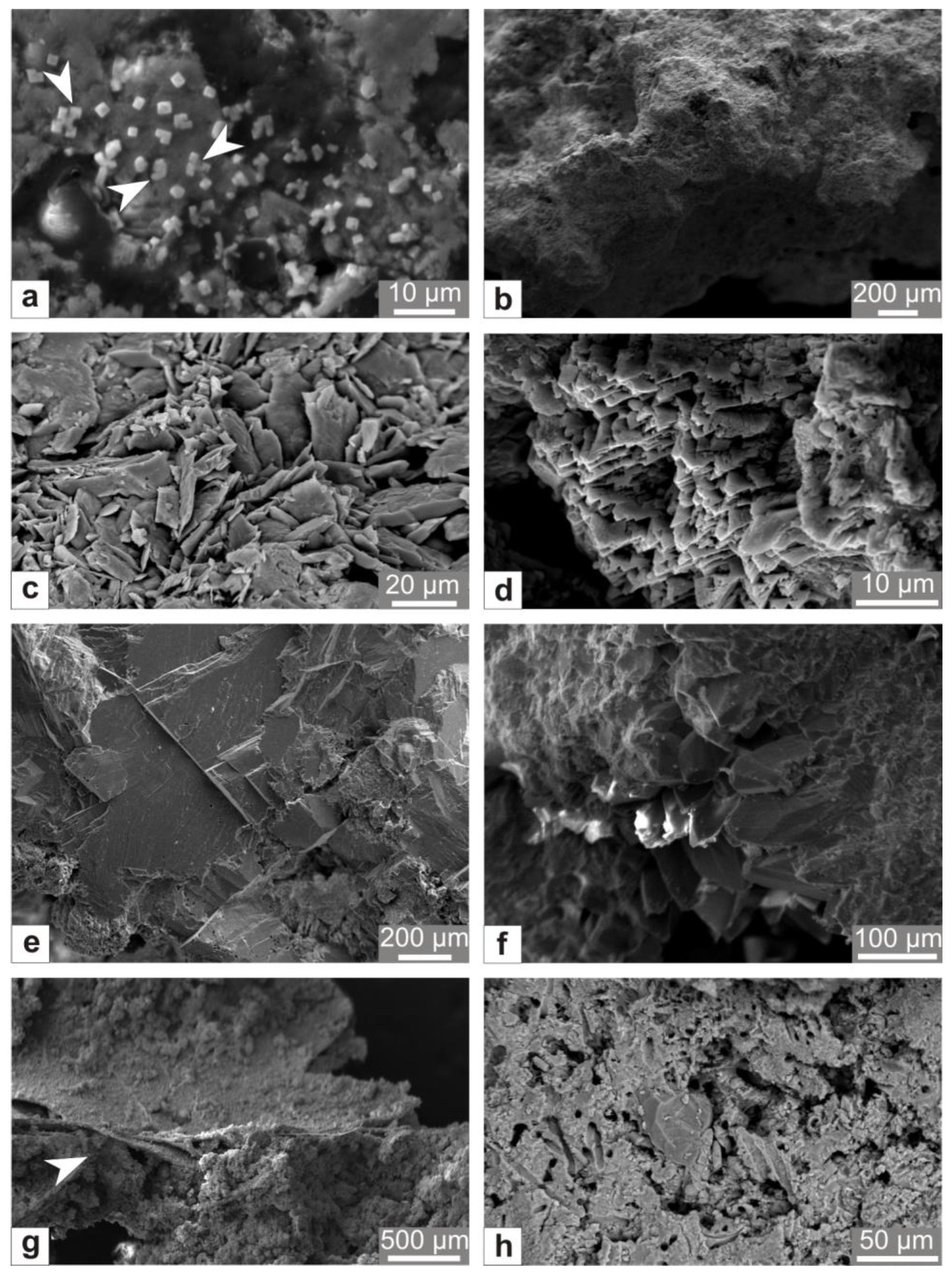 Applsci 13 03190 g005