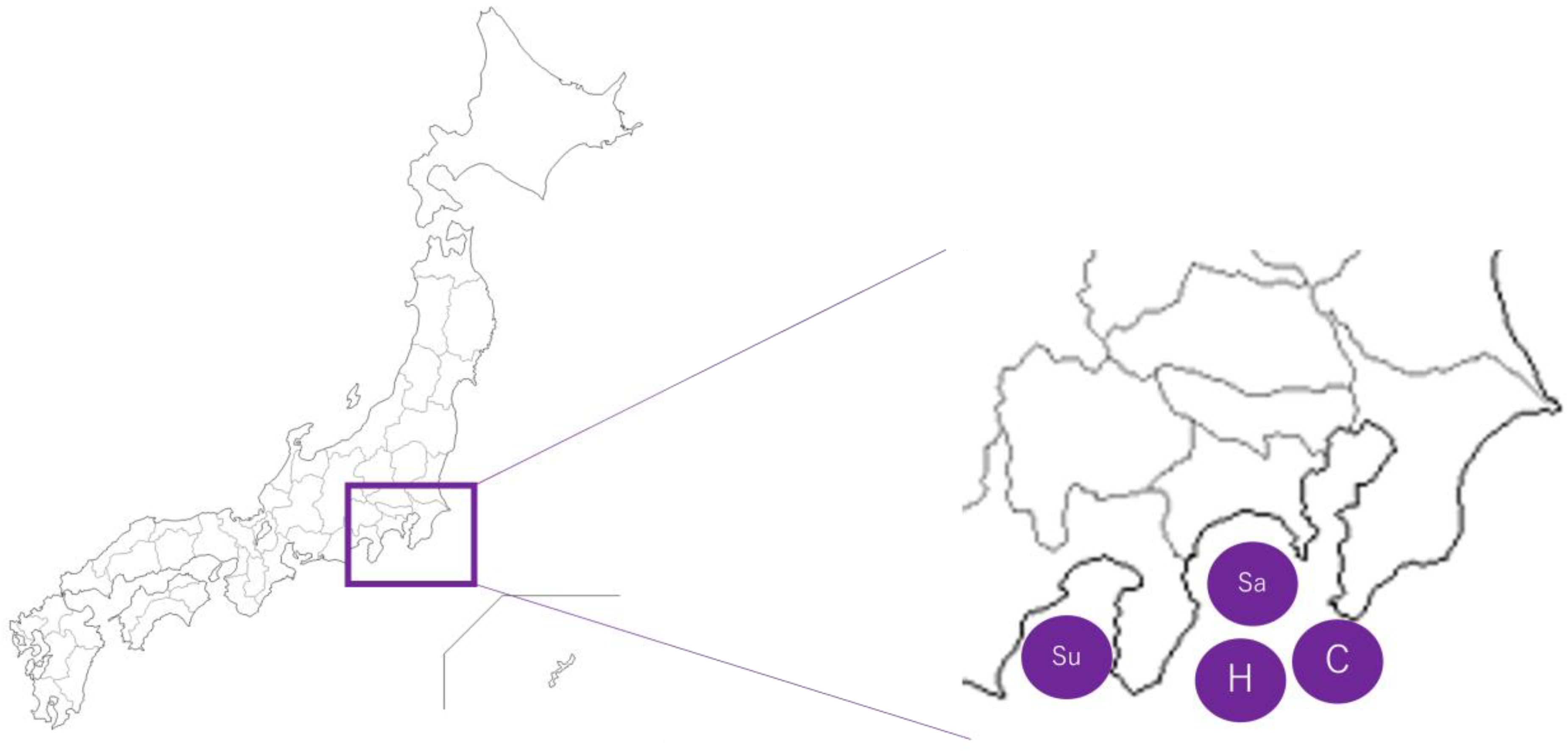 Applsci 13 03198 g001 Applsci 13 03198 g001