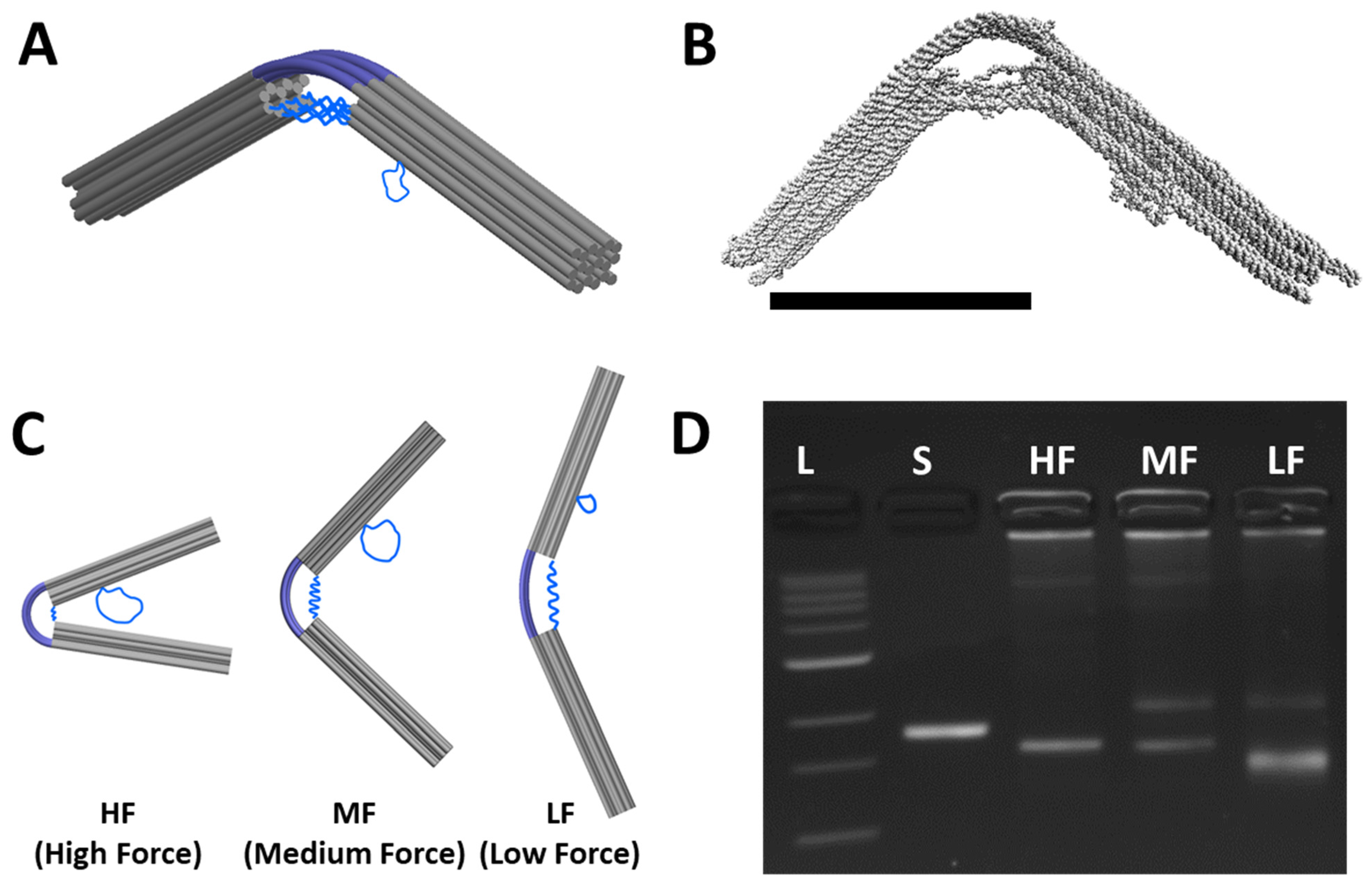 Applsci 13 03208 g002 Applsci 13 03208 g002