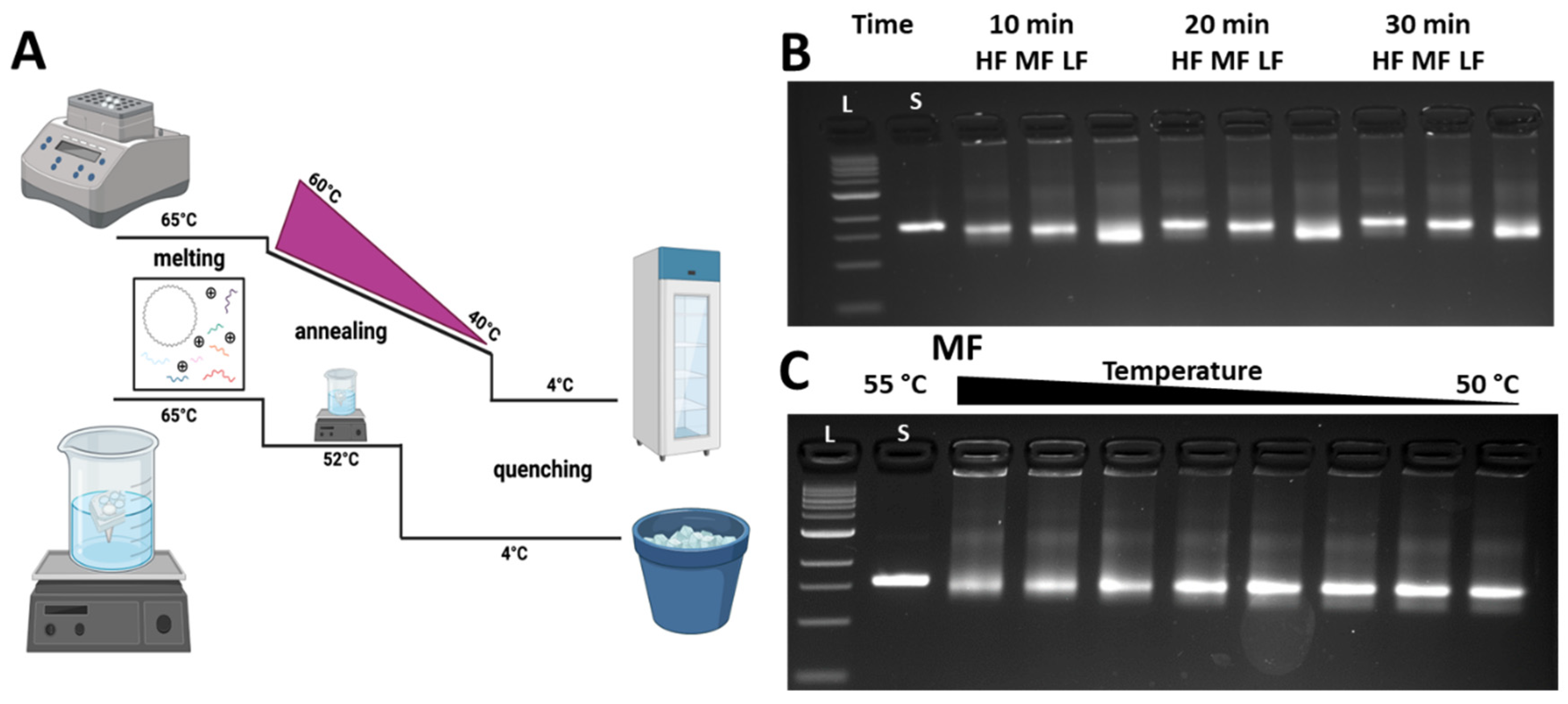 Applsci 13 03208 g003 Applsci 13 03208 g003