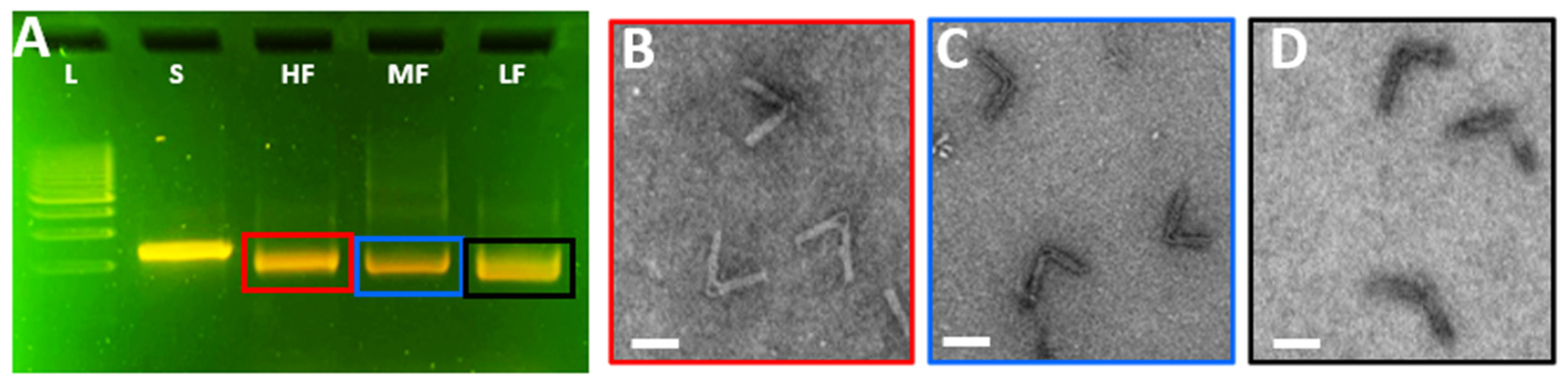 Applsci 13 03208 g004 Applsci 13 03208 g004