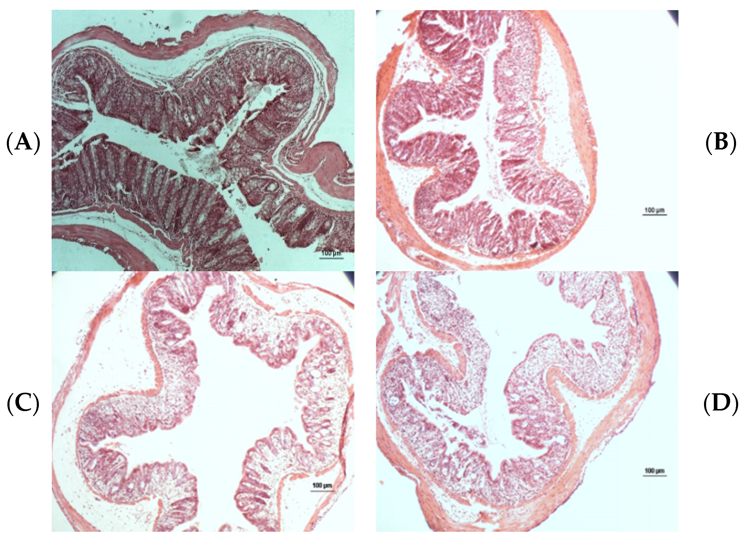 Applsci 13 03233 g005 Applsci 13 03233 g005