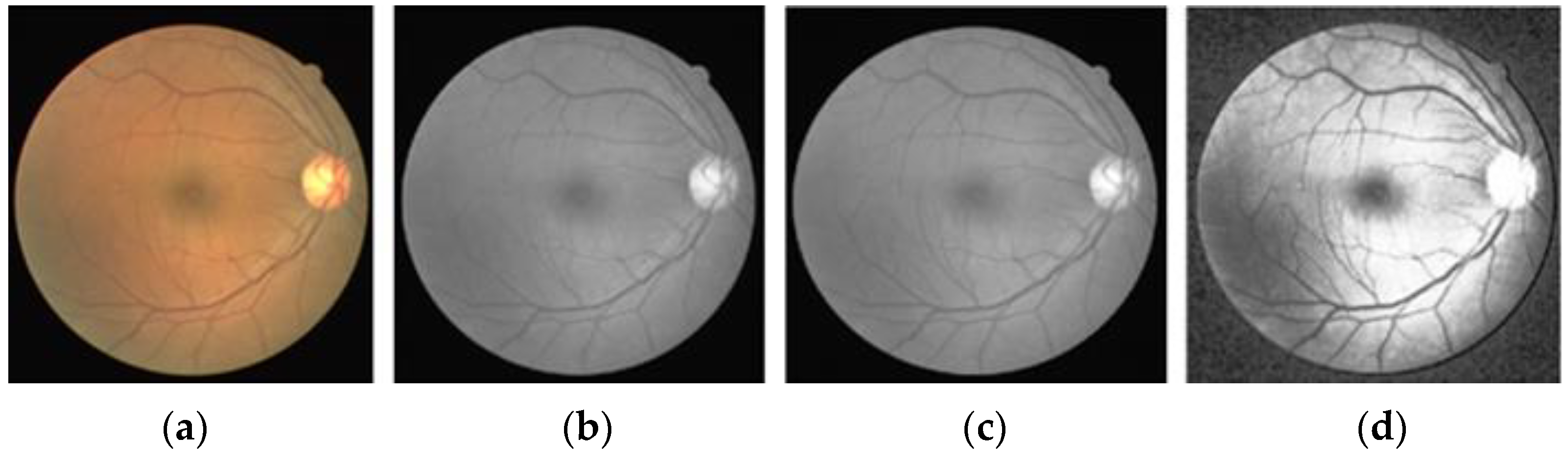Applsci 13 03255 g002
