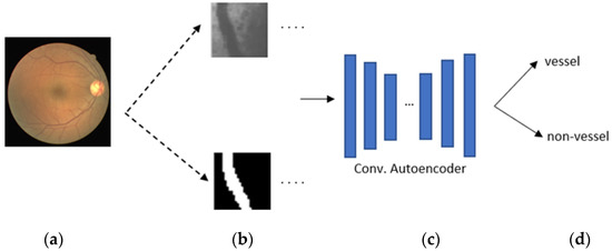 A Convolutional Autoencoder Approach for Boosting the Specificity of ...