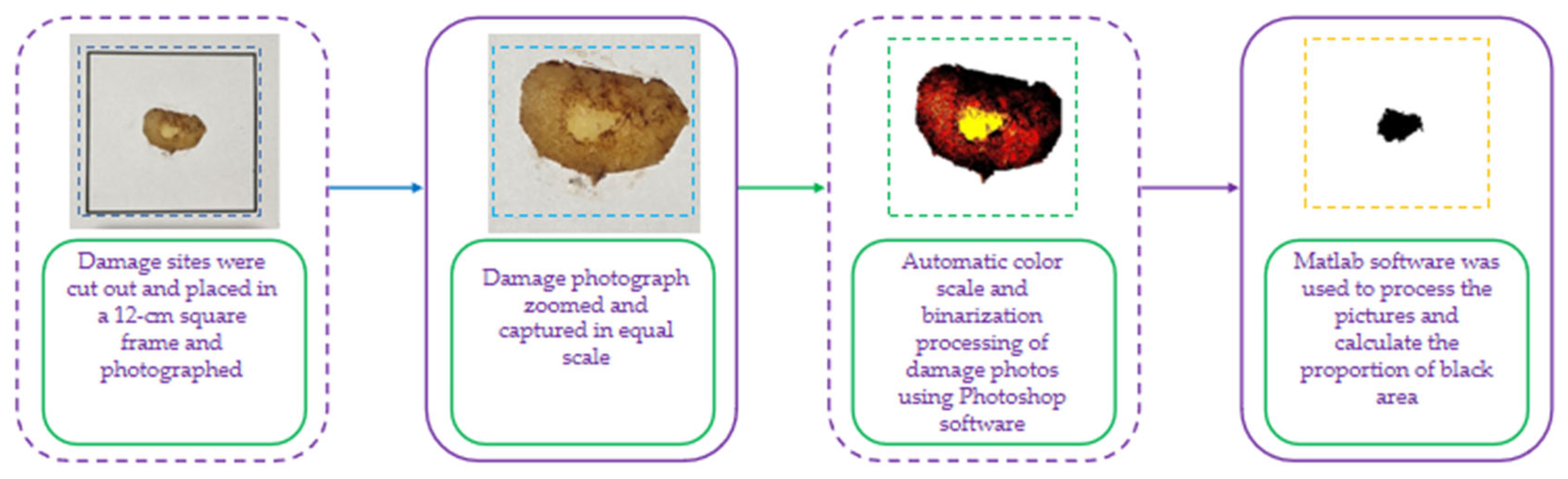 Applsci 13 03269 g003