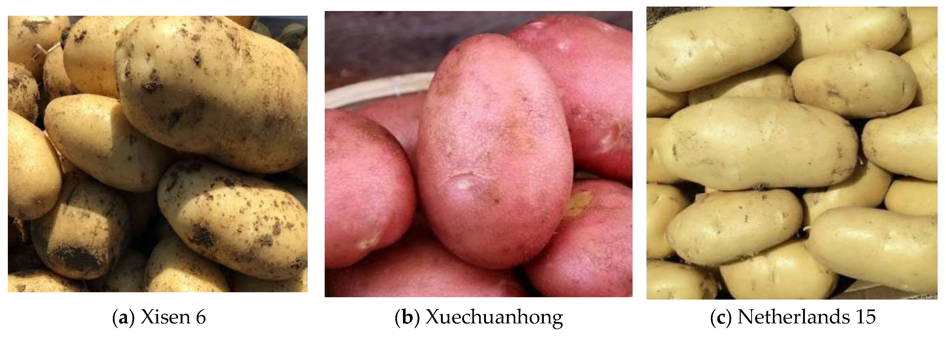 Applsci 13 03269 g008