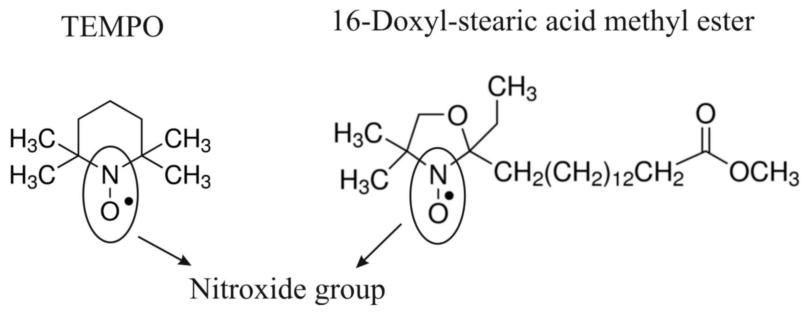 Applsci 13 03272 g002 Applsci 13 03272 g002