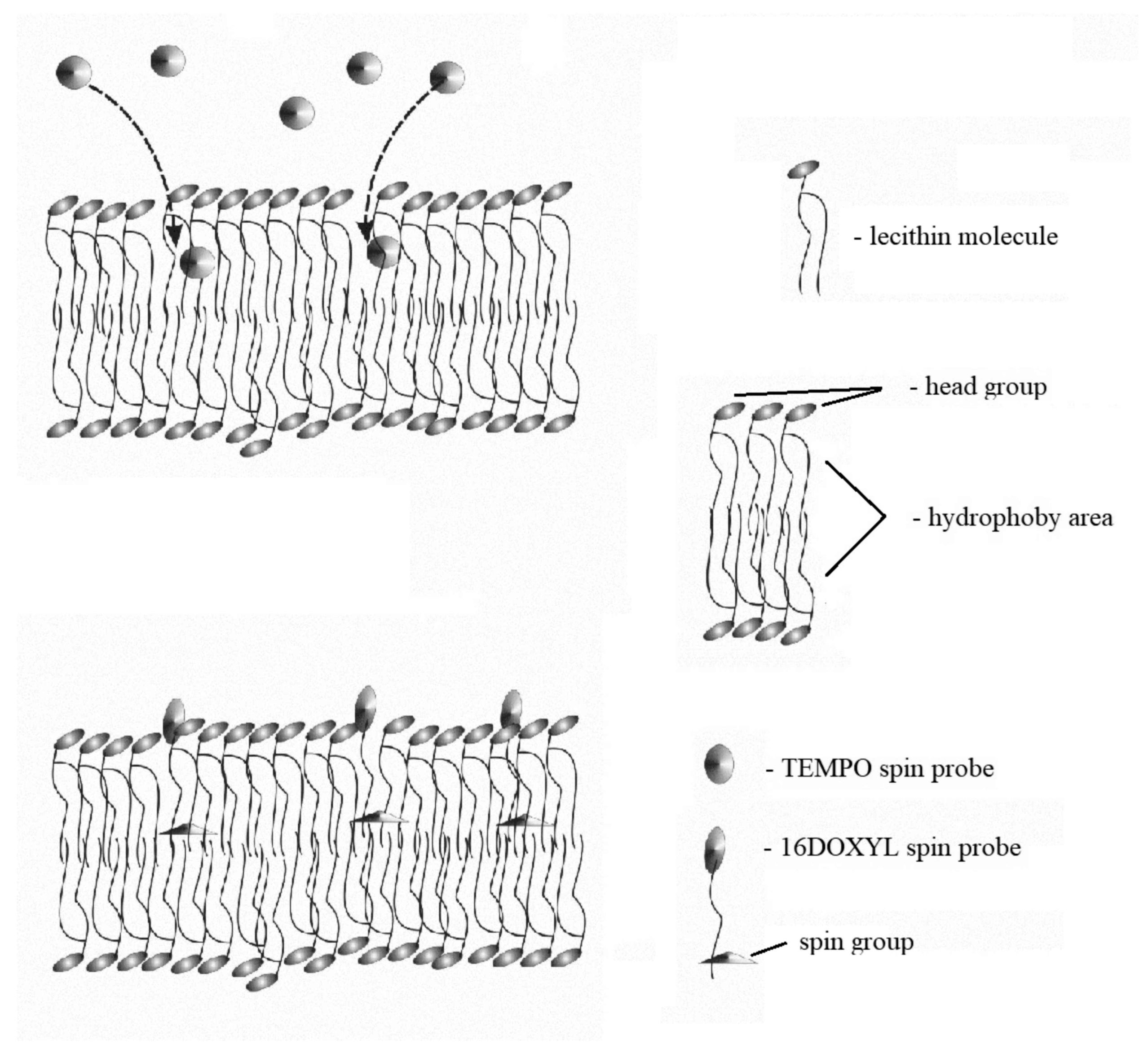 Applsci 13 03272 g005 Applsci 13 03272 g005