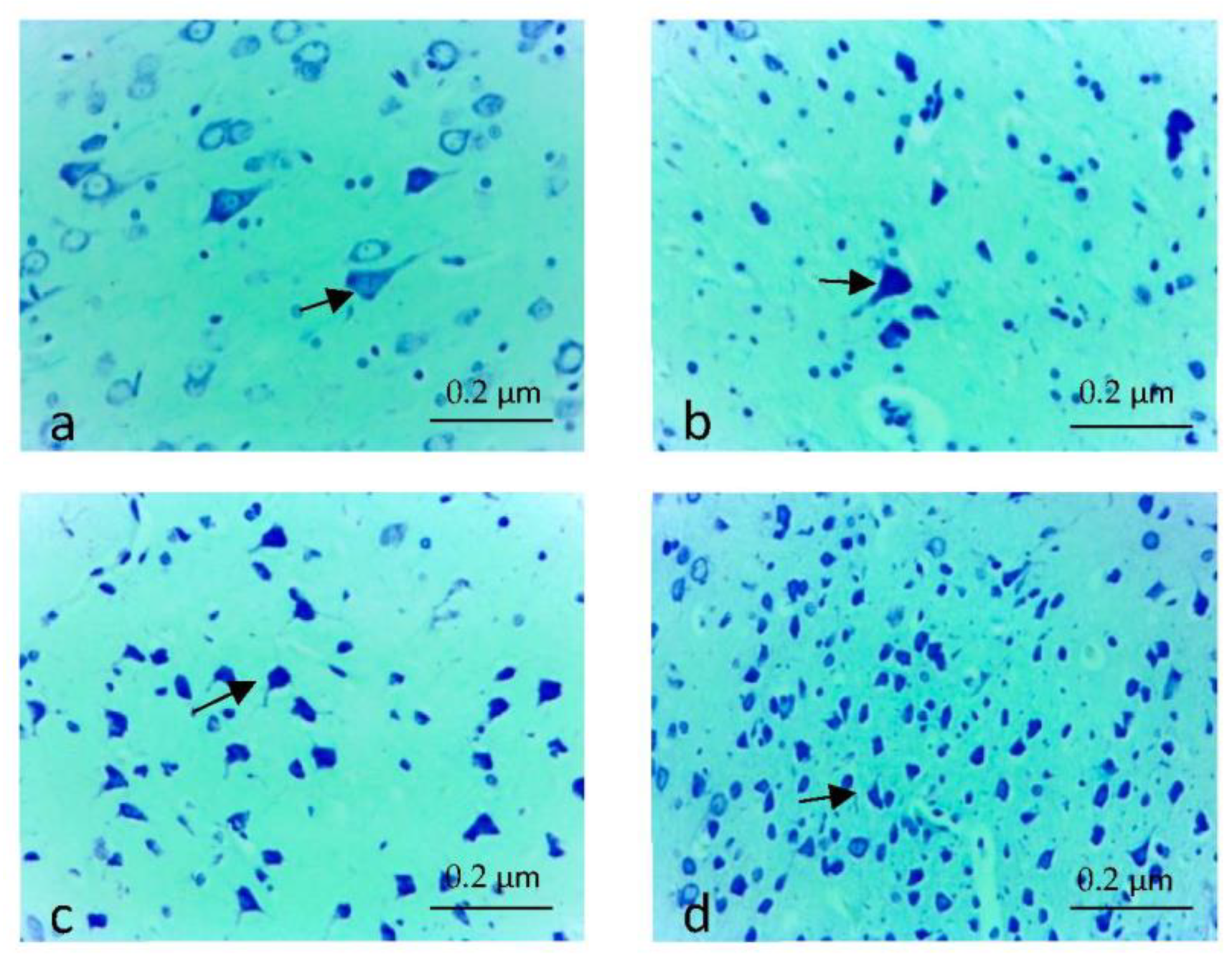 Applsci 13 03276 g001 Applsci 13 03276 g001