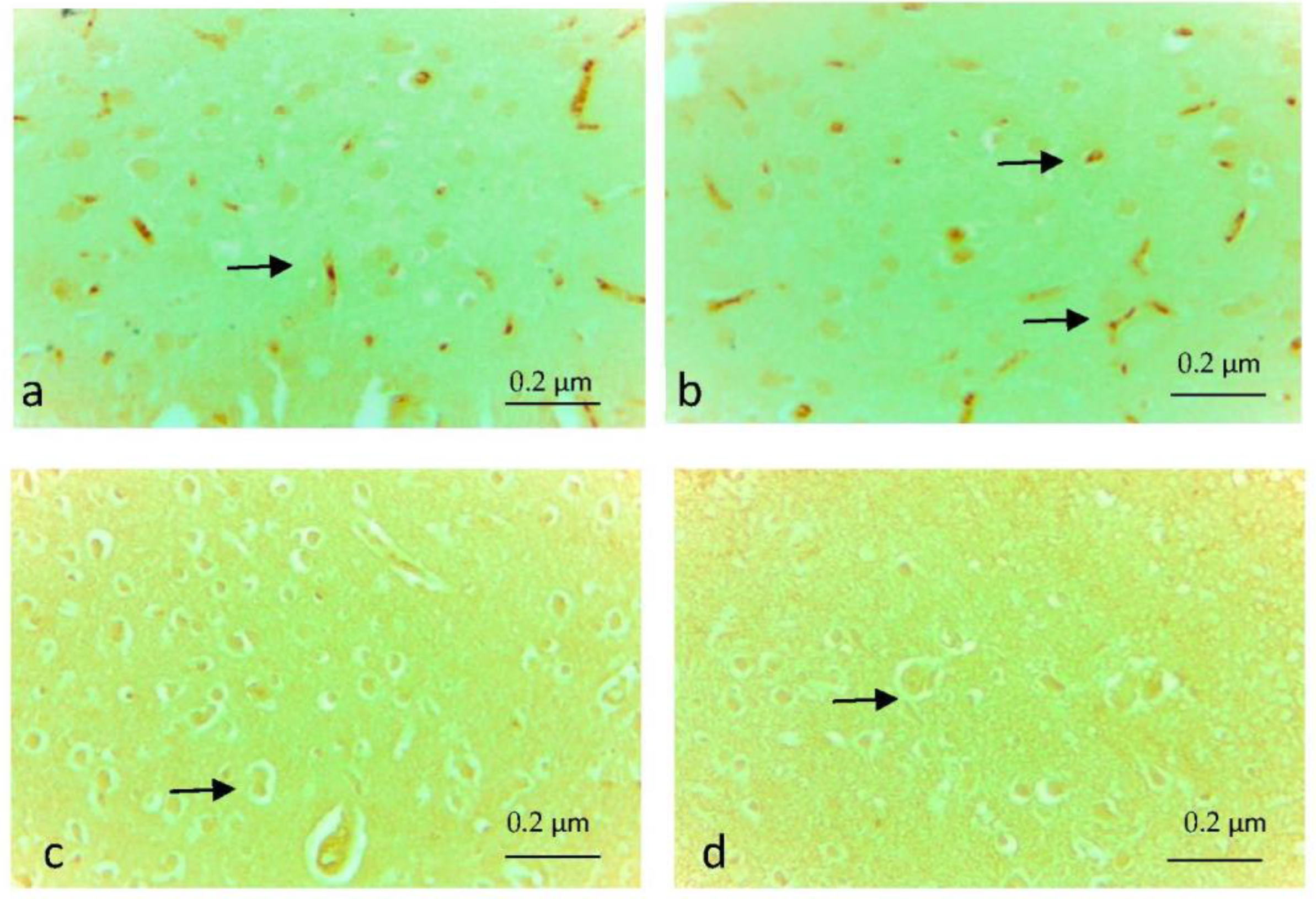 Applsci 13 03276 g003 Applsci 13 03276 g003