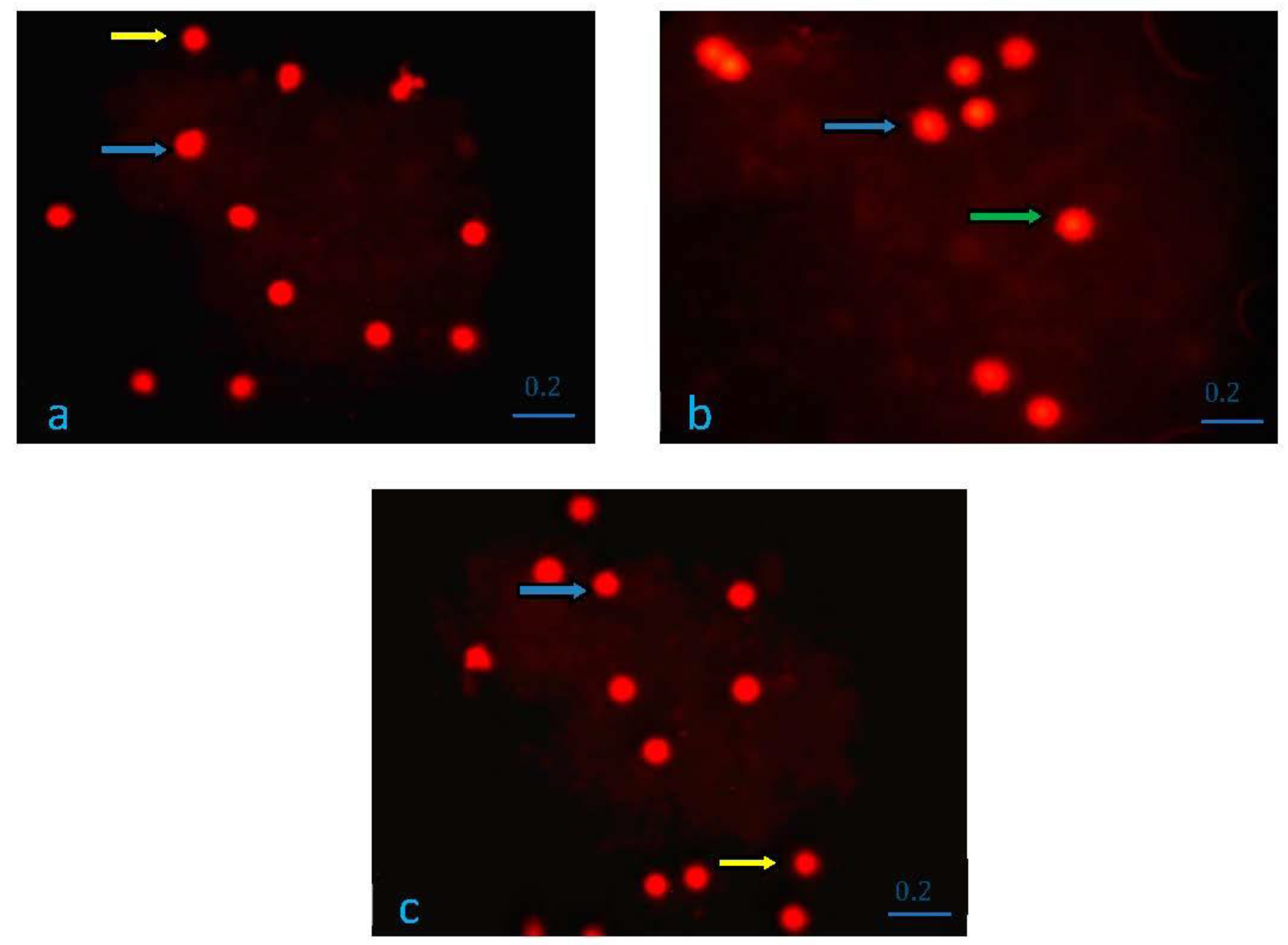 Applsci 13 03276 g004 Applsci 13 03276 g004