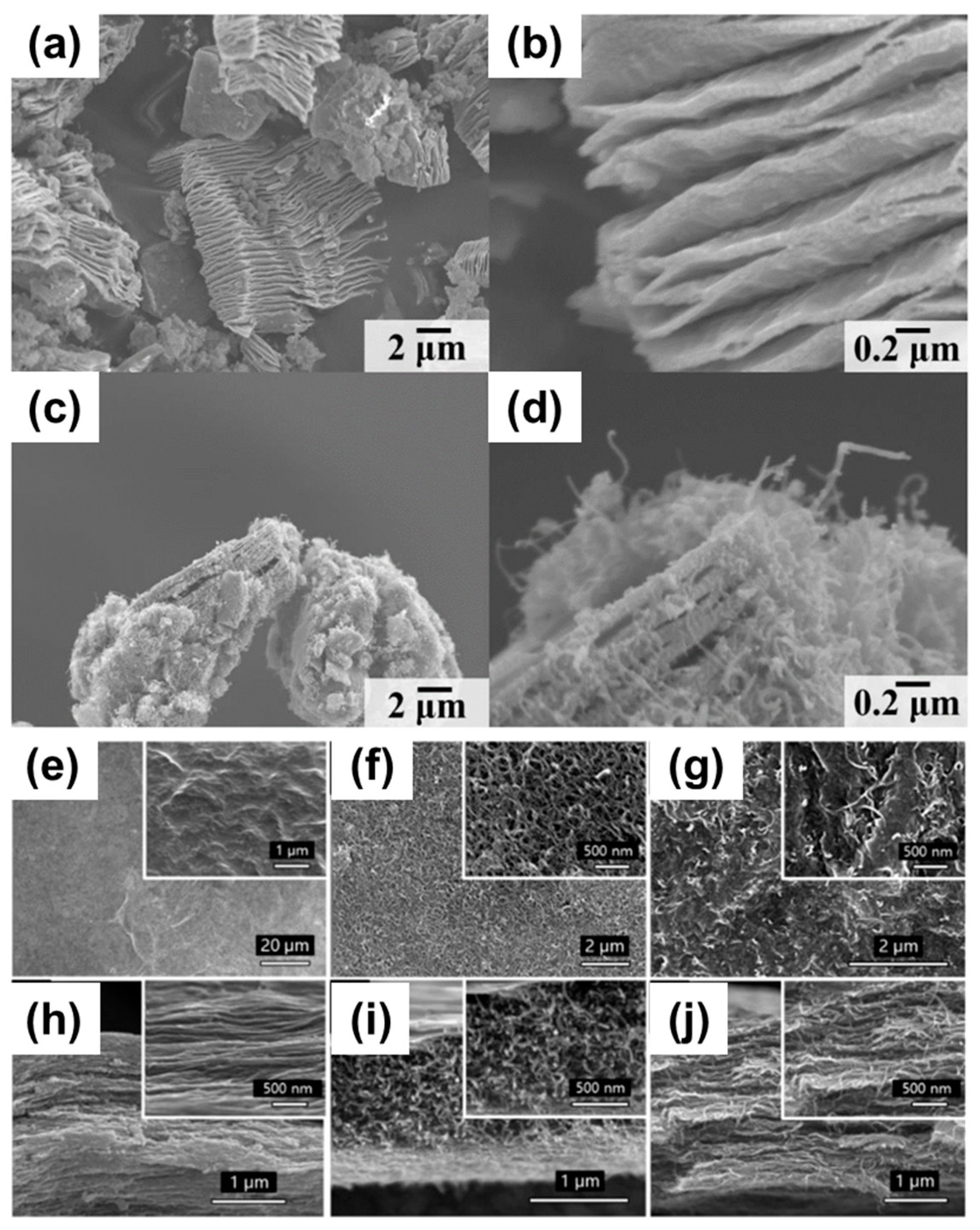 Applsci 13 03290 g005 Applsci 13 03290 g005