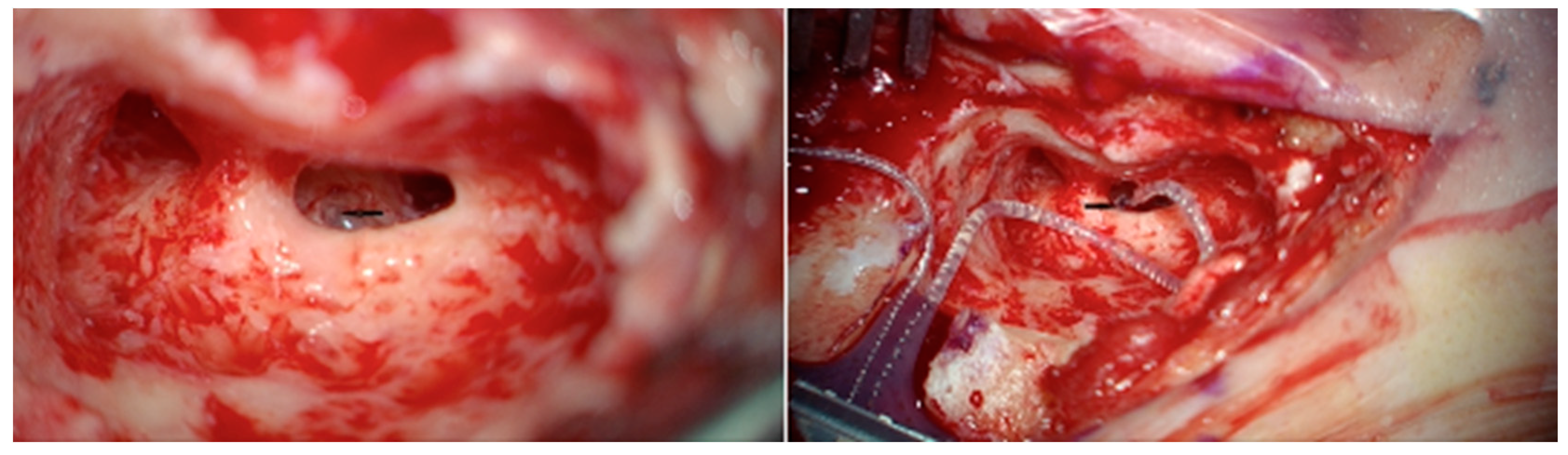 Applsci 13 03292 g001