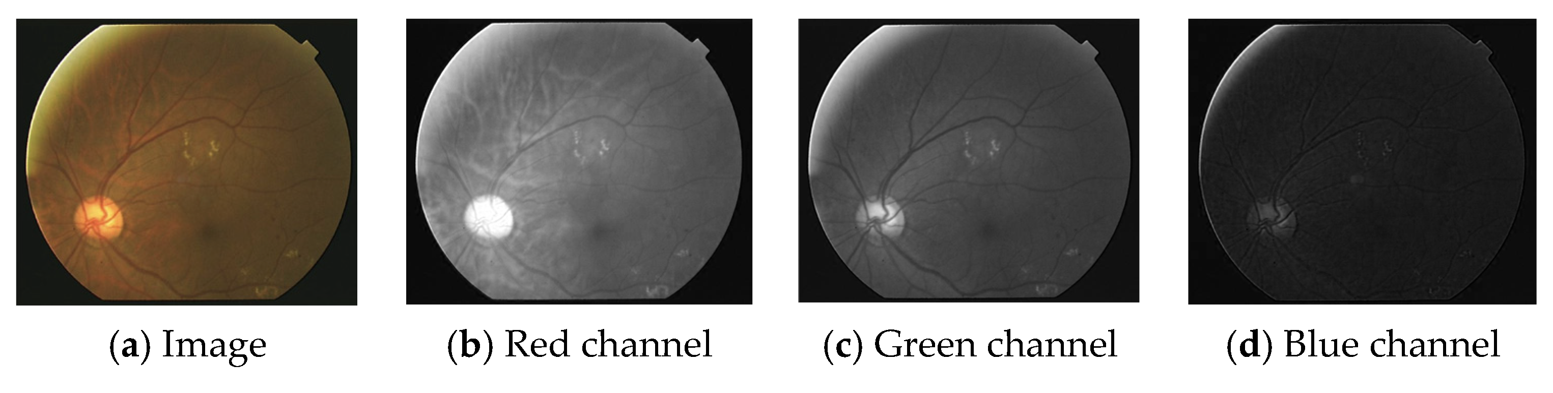 Applsci 13 03312 g001