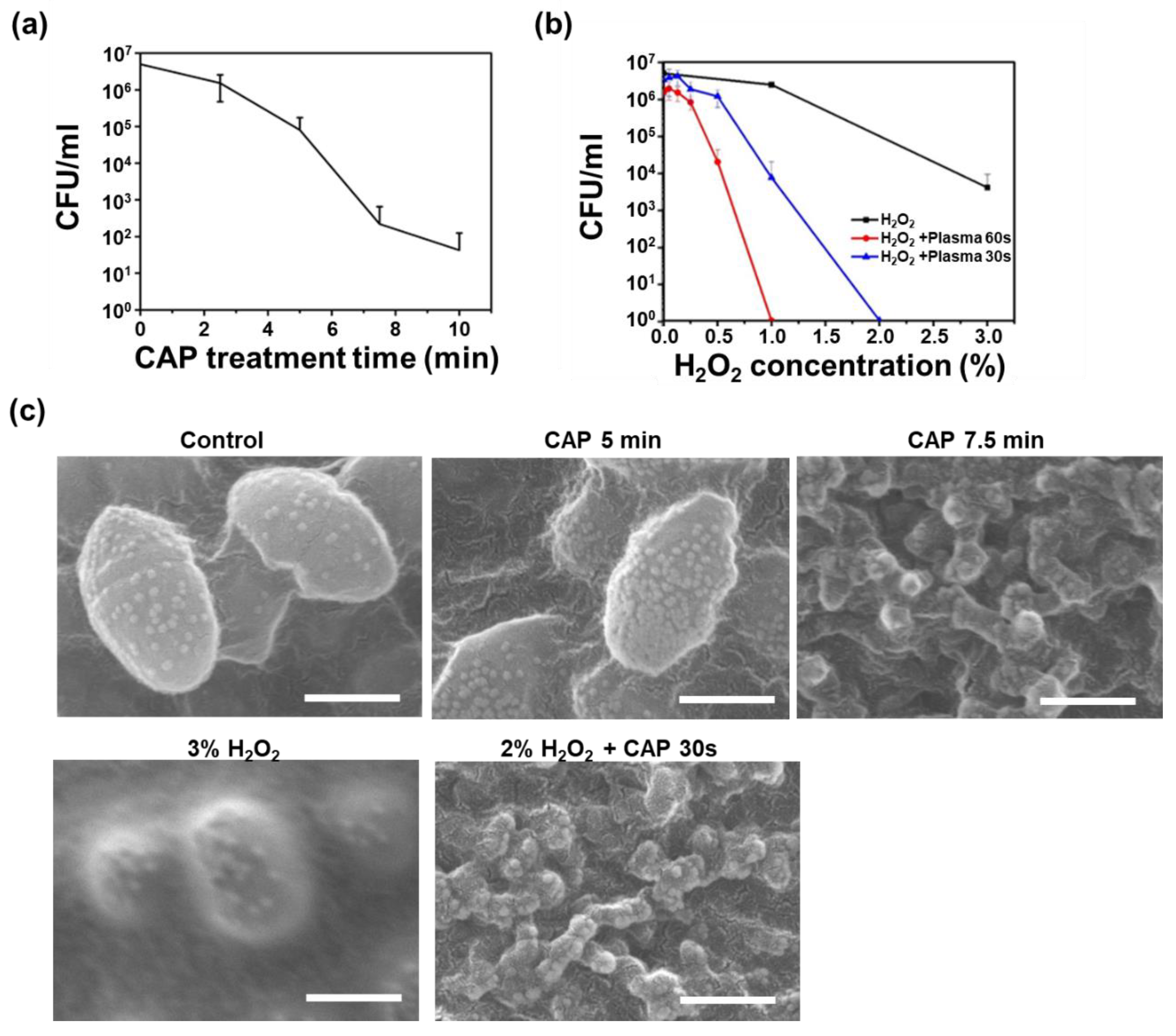 Applsci 13 03324 g003