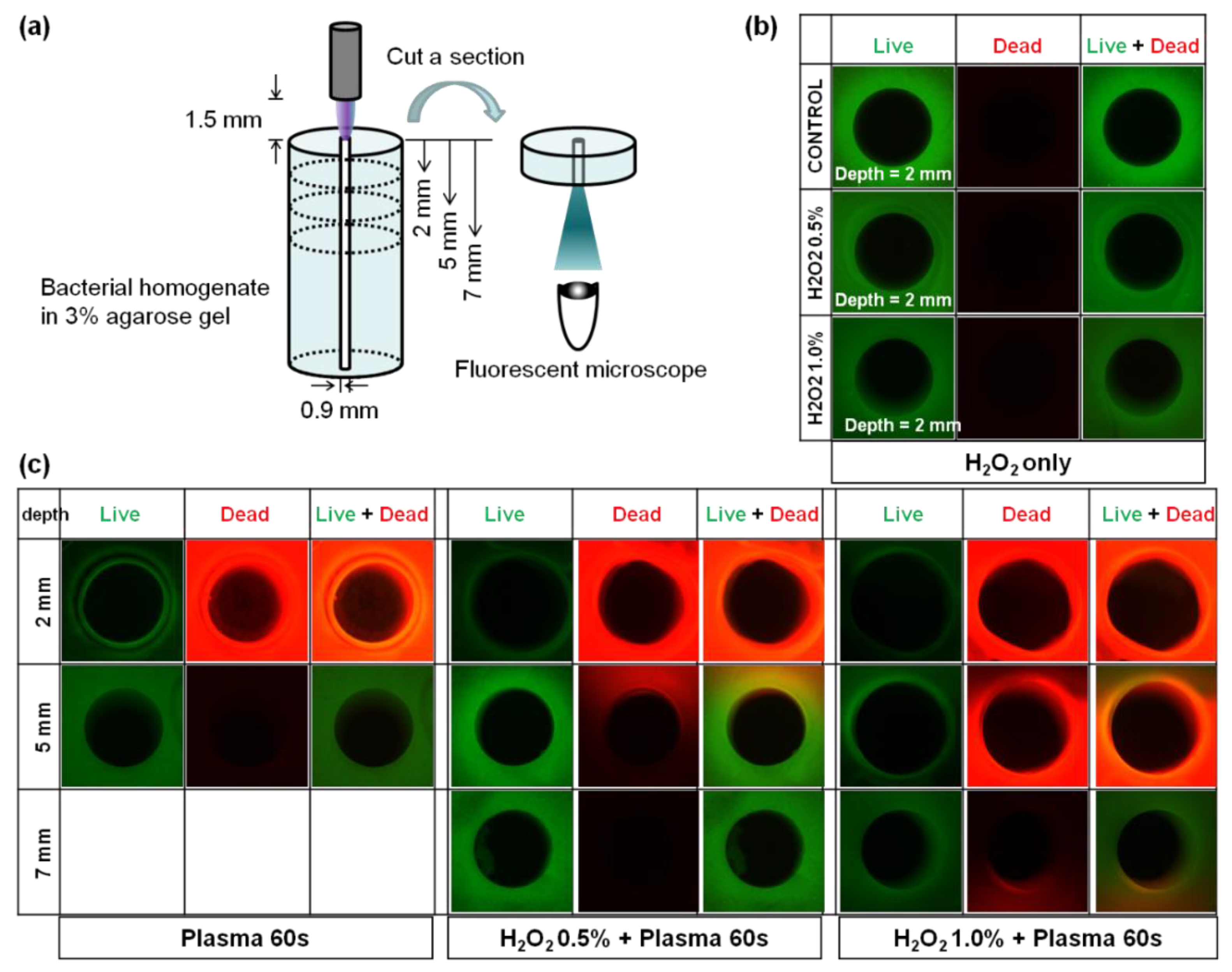 Applsci 13 03324 g005