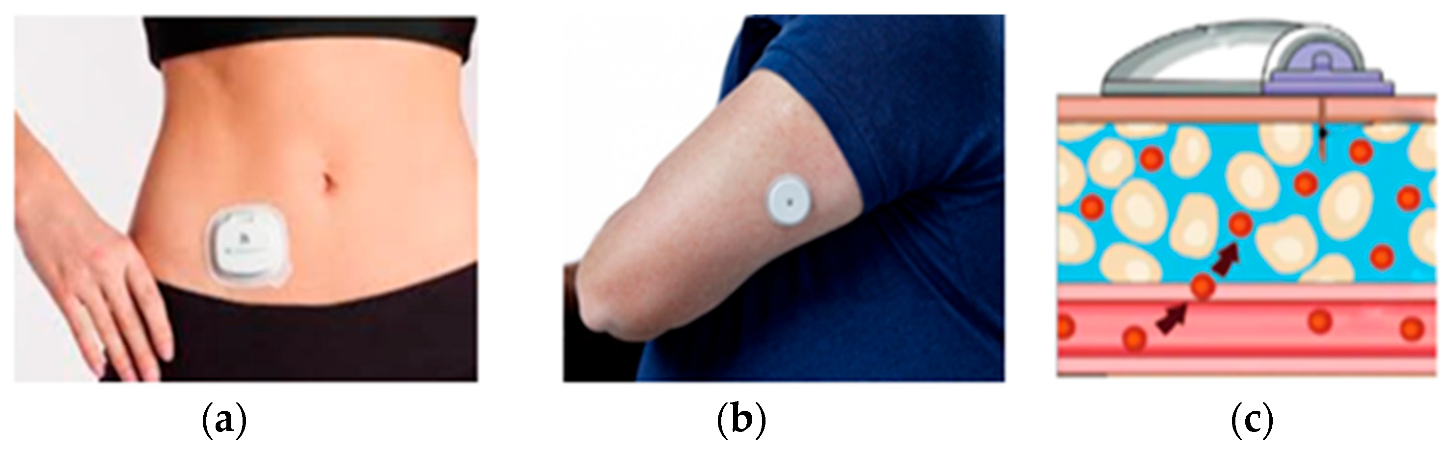 Applsci 13 03326 g002 Applsci 13 03326 g002