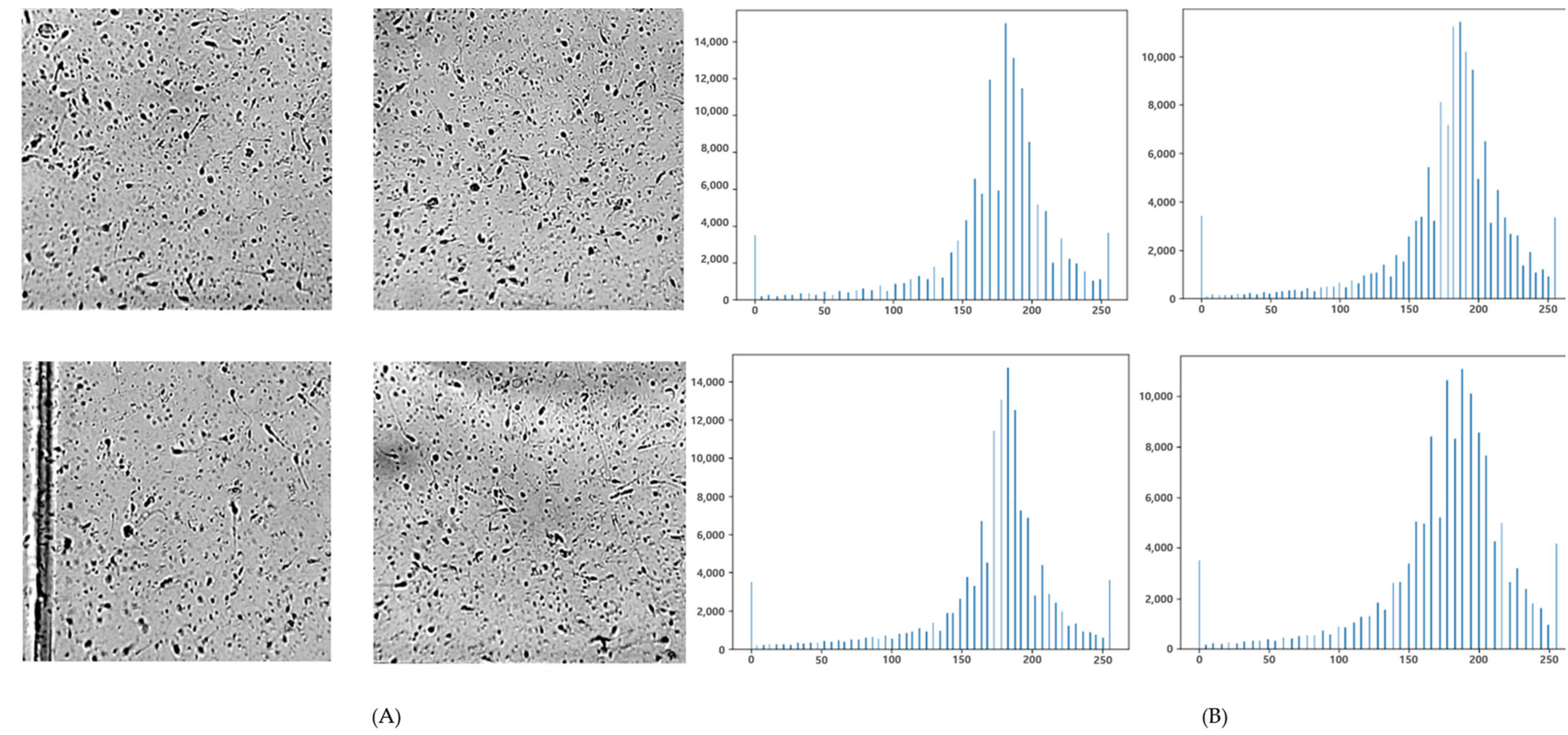 Applsci 13 03338 g001 Applsci 13 03338 g001