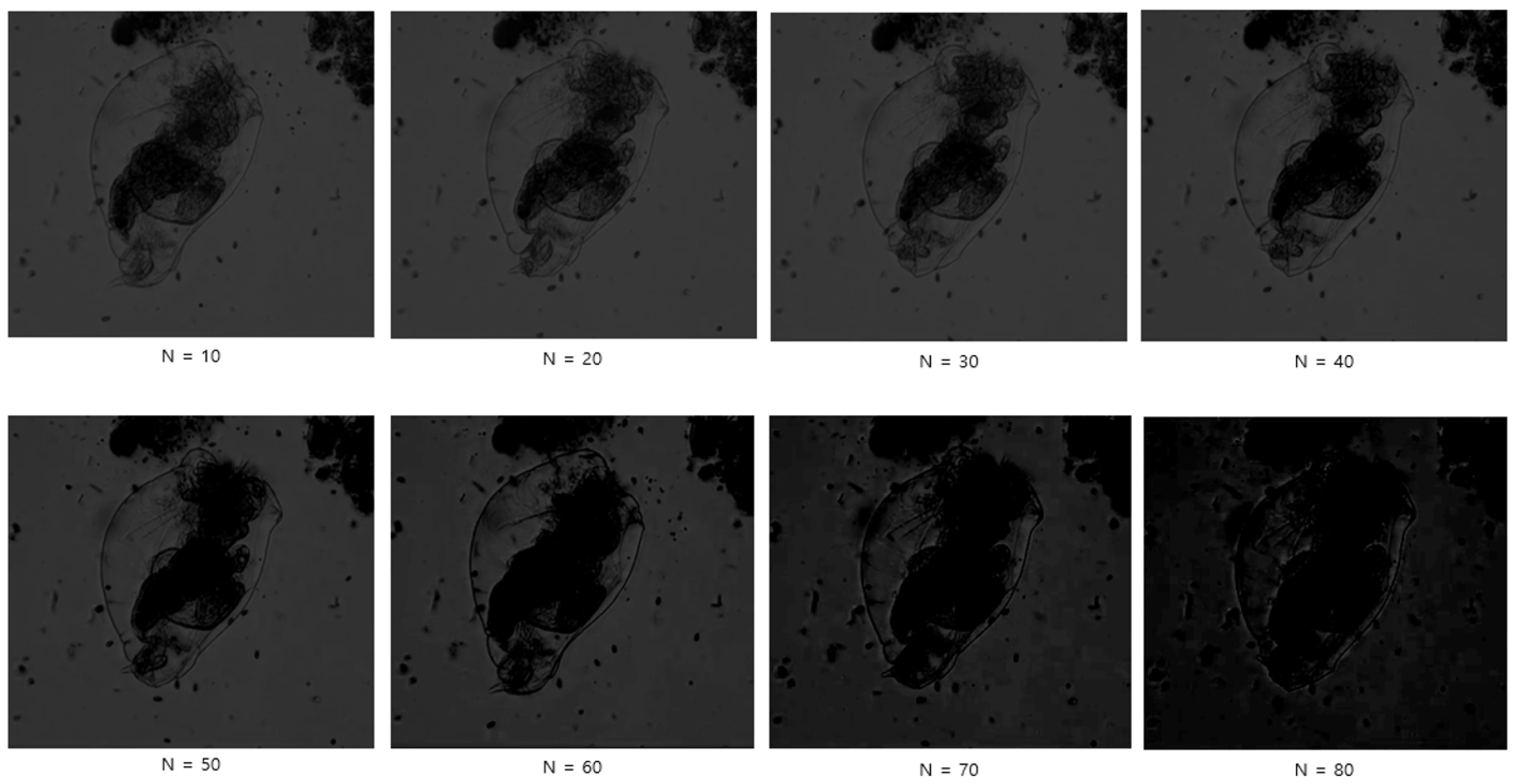 Applsci 13 03338 g002 Applsci 13 03338 g002