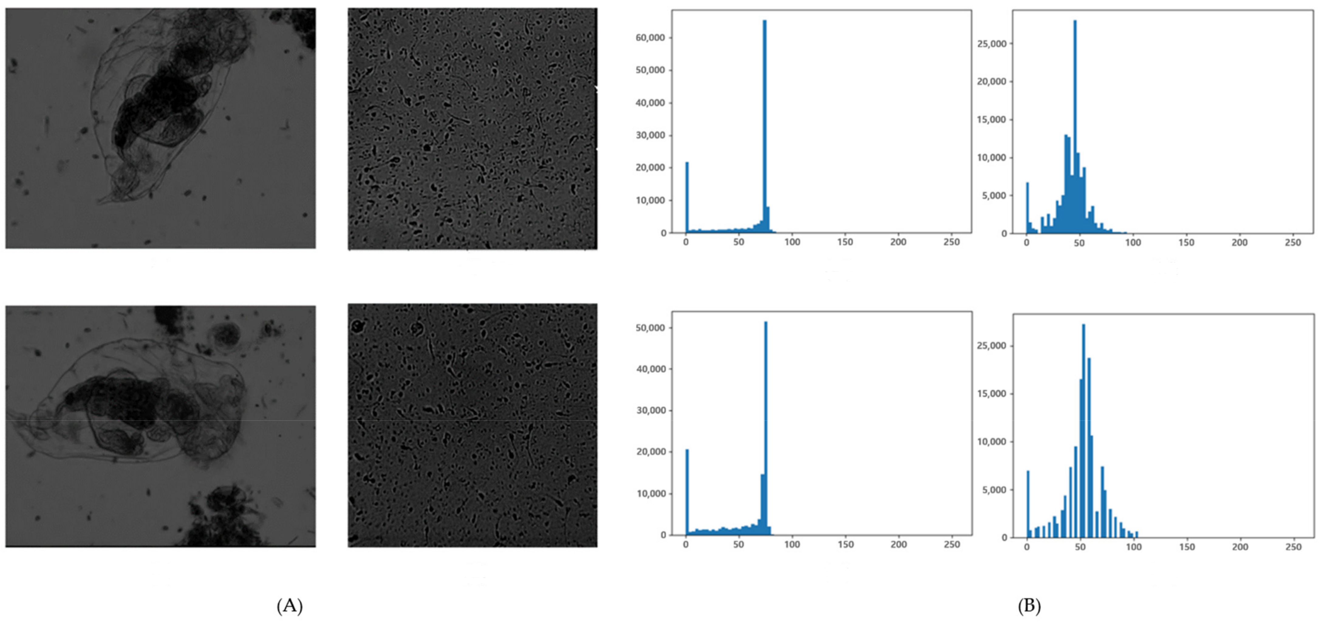 Applsci 13 03338 g003 Applsci 13 03338 g003