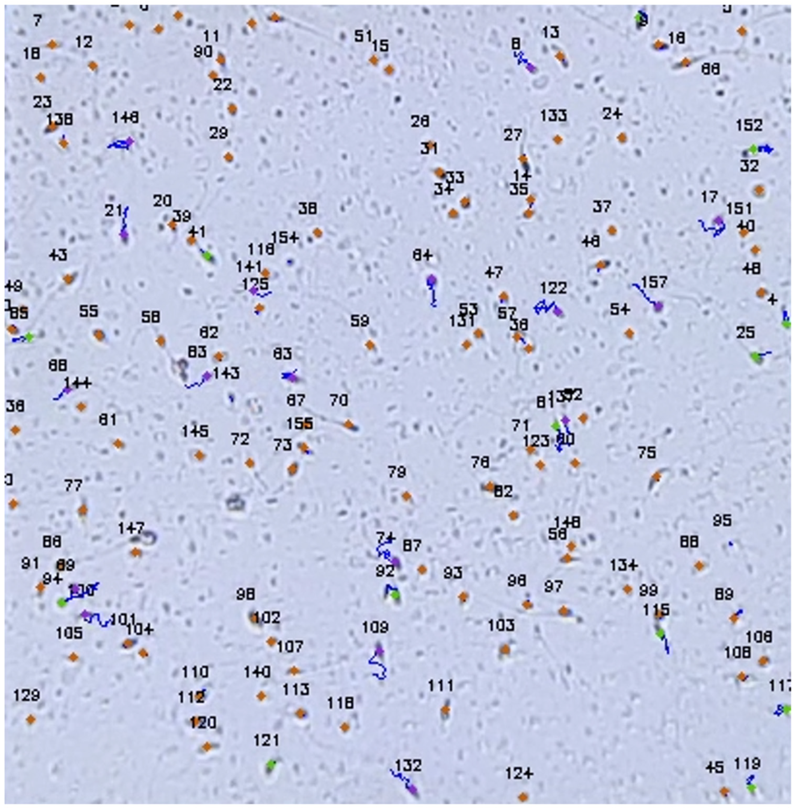 Applsci 13 03338 g008 Applsci 13 03338 g008