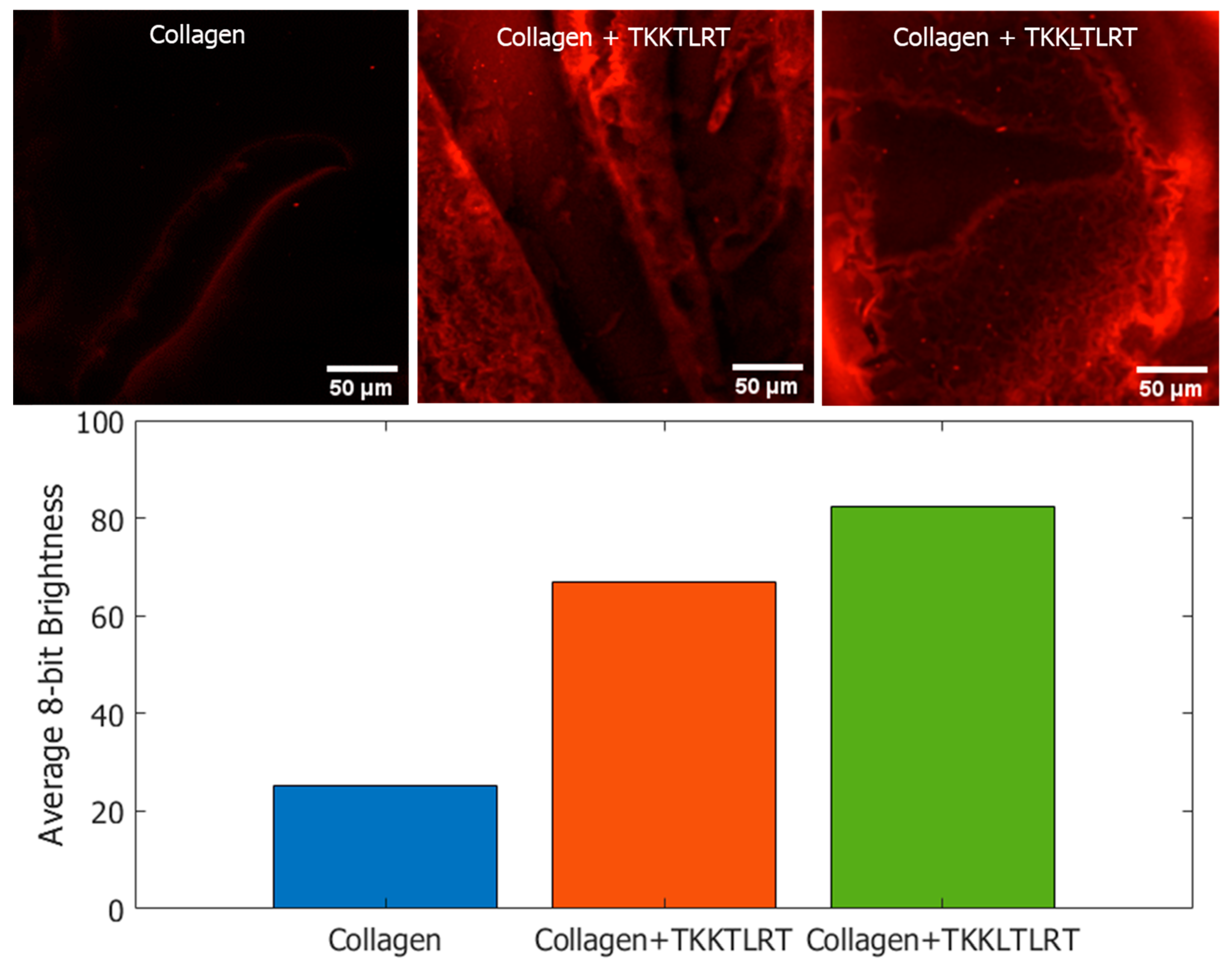 Applsci 13 03342 g008 Applsci 13 03342 g008