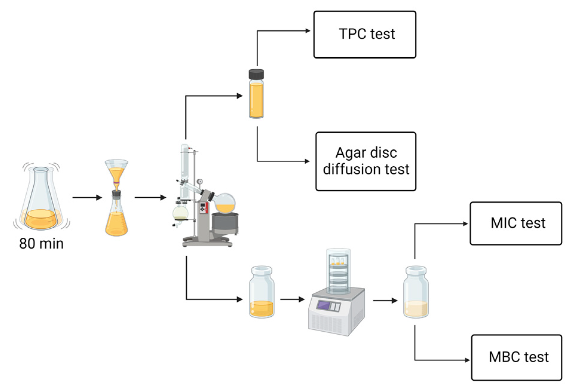 Applsci 13 03369 g002