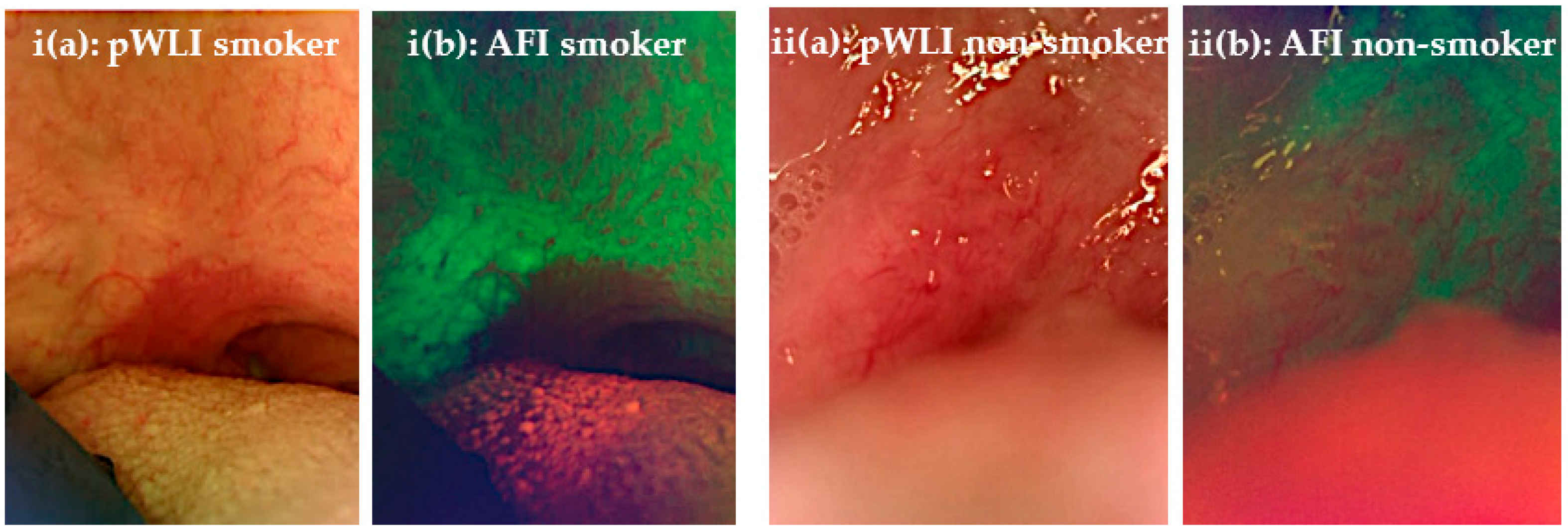 Applsci 13 03370 g004 Applsci 13 03370 g004