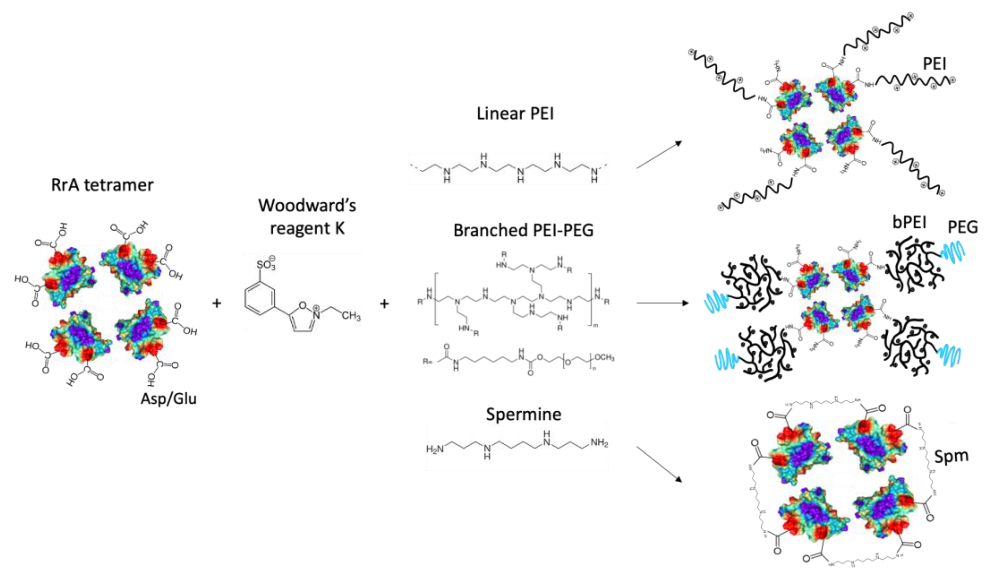 Applsci 13 03373 g001