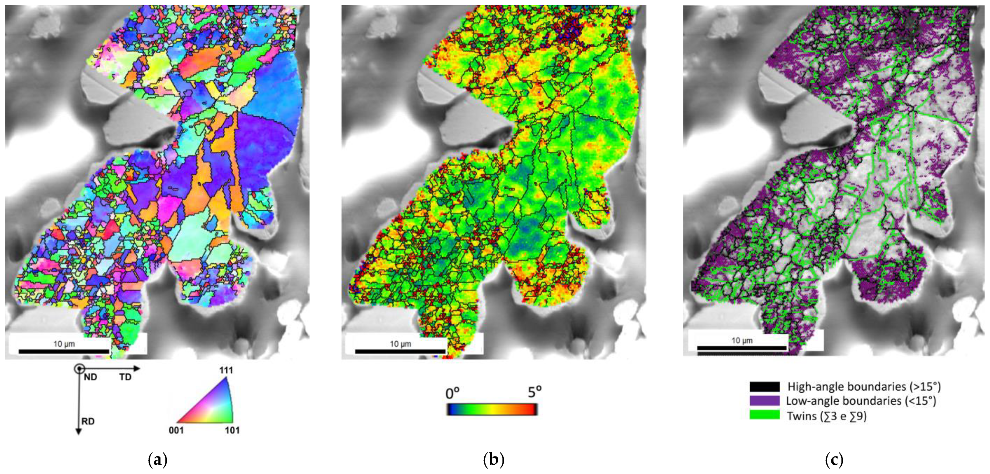 Applsci 13 03378 g002