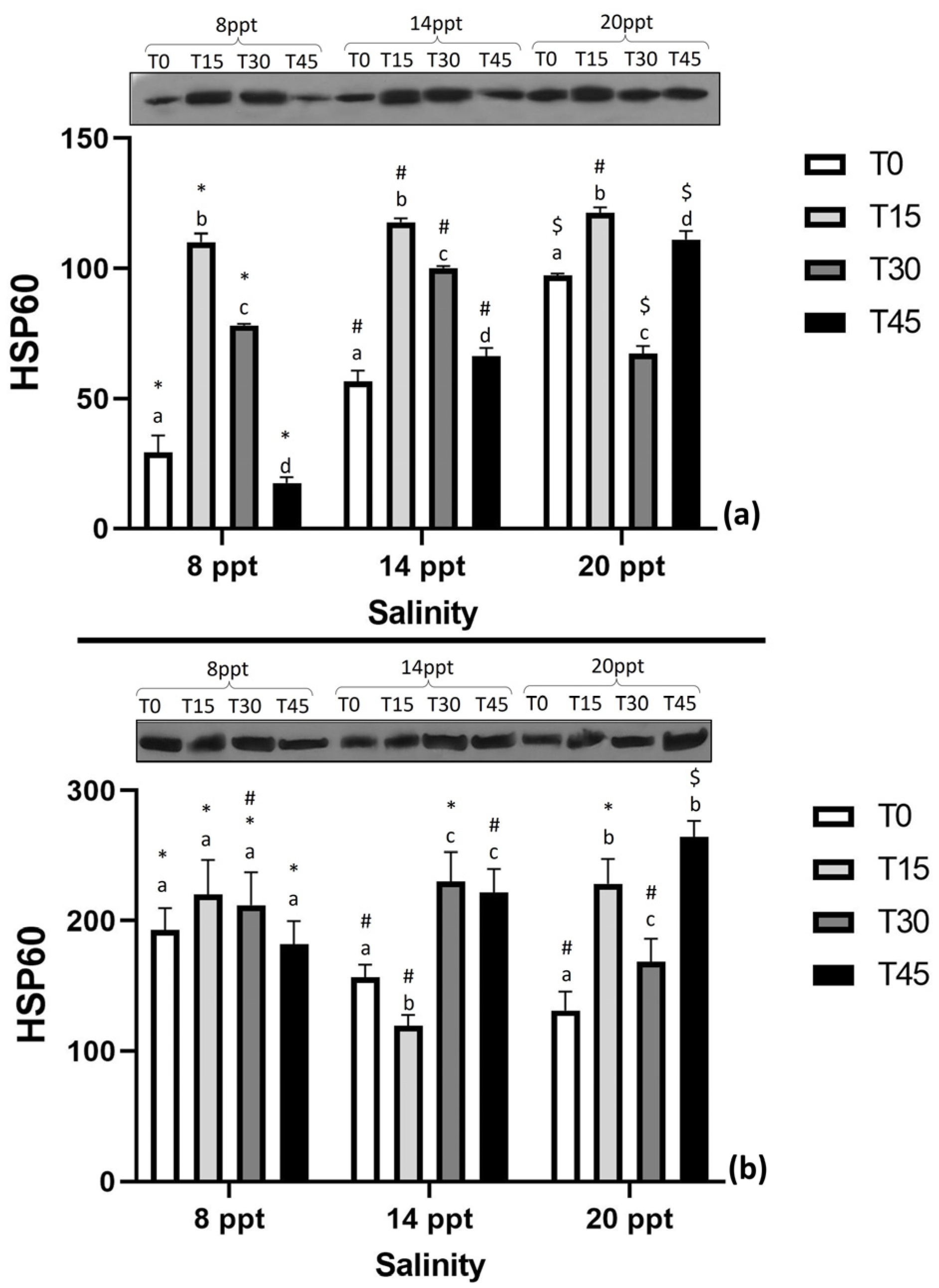 Applsci 13 03385 g002