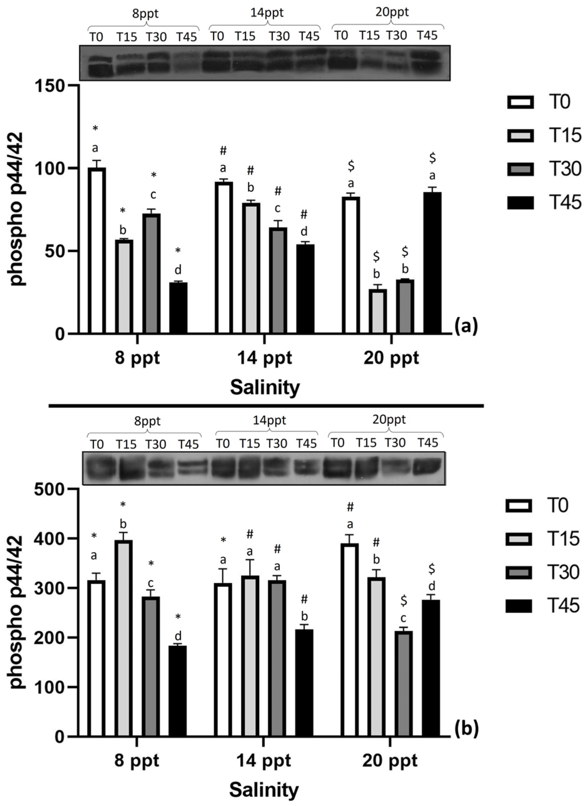Applsci 13 03385 g003