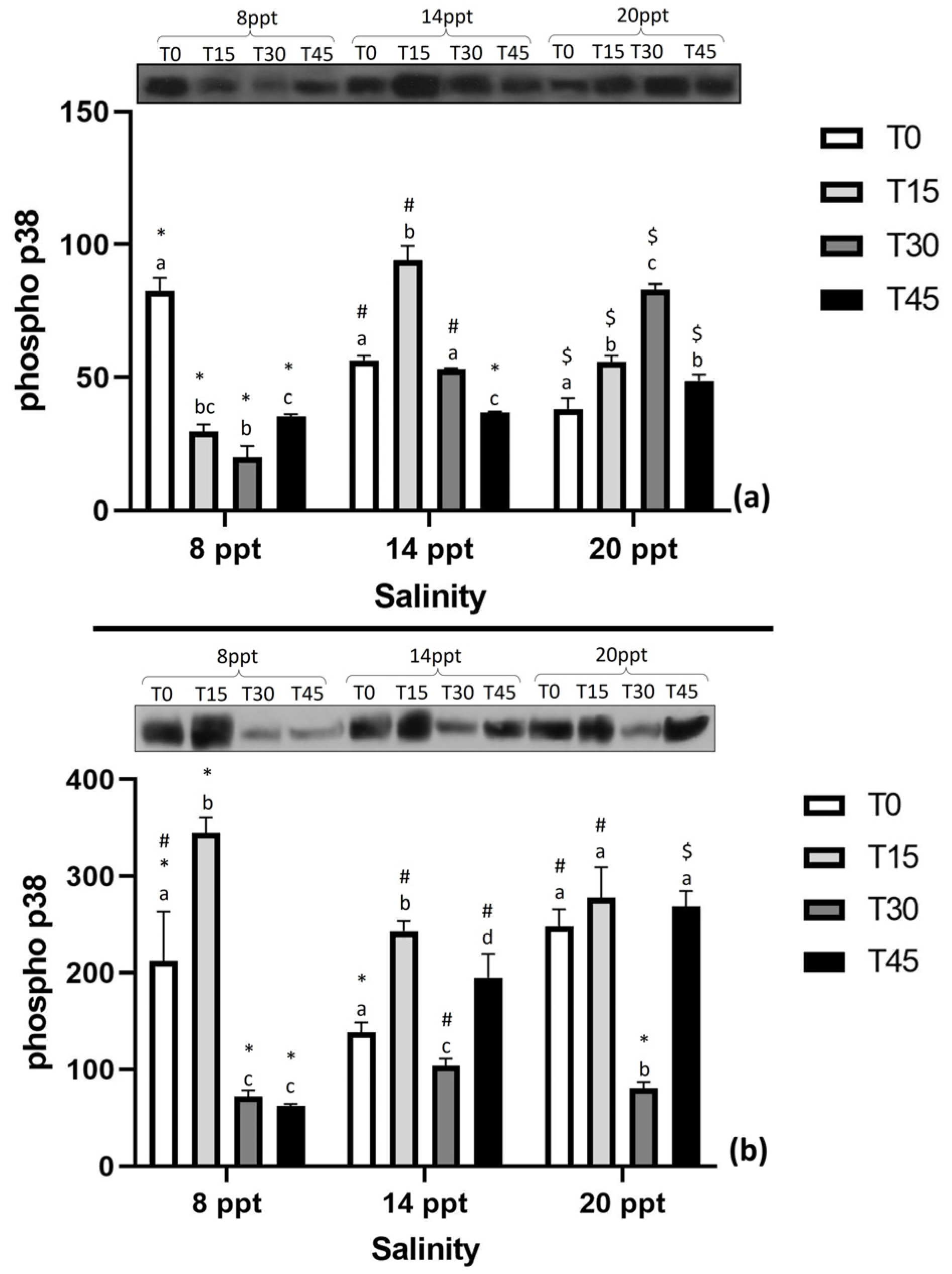 Applsci 13 03385 g004