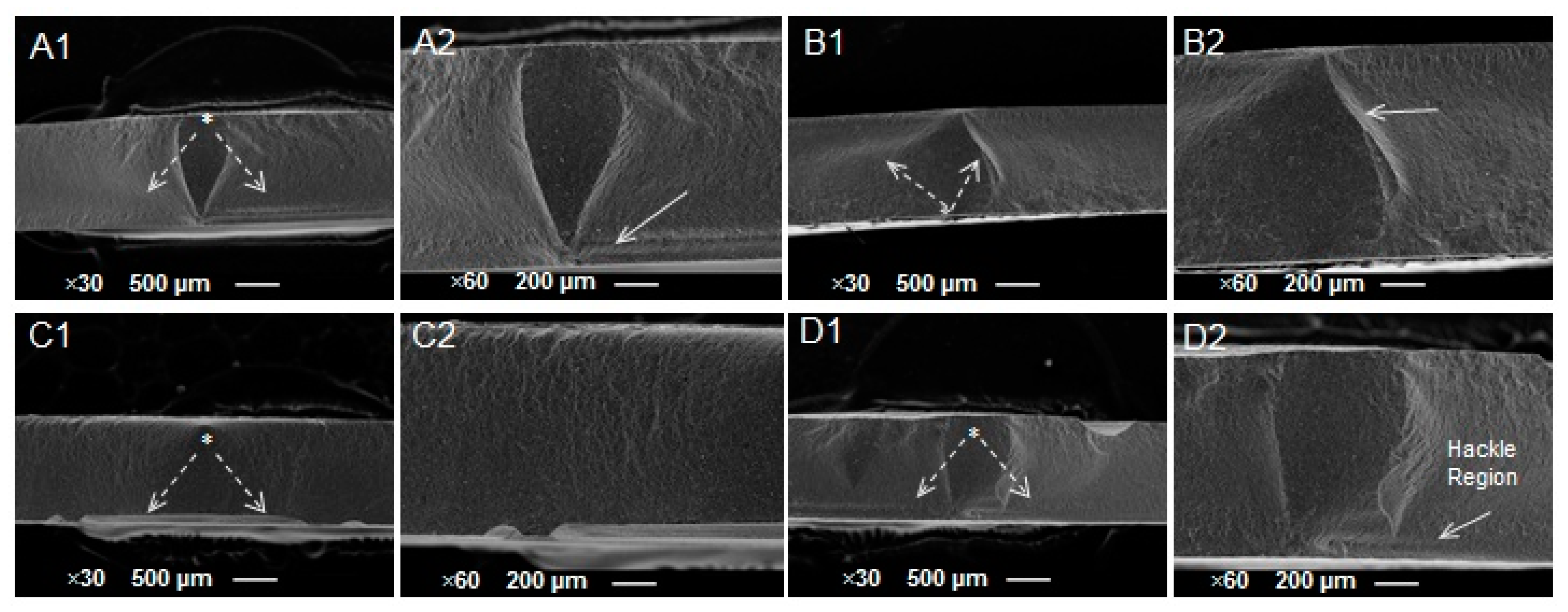 Applsci 13 03415 g005 Applsci 13 03415 g005