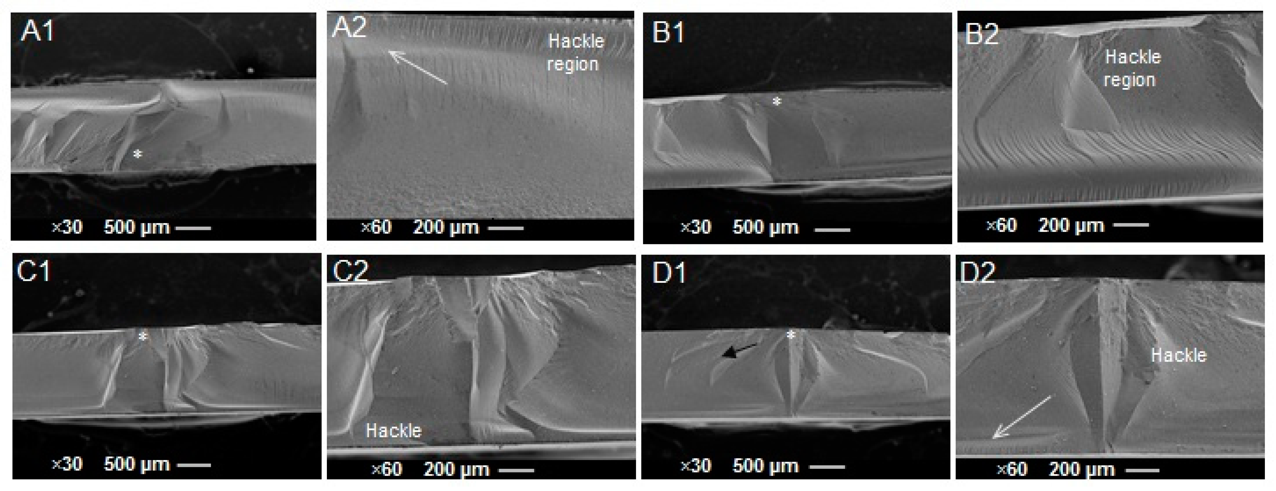 Applsci 13 03415 g006 Applsci 13 03415 g006
