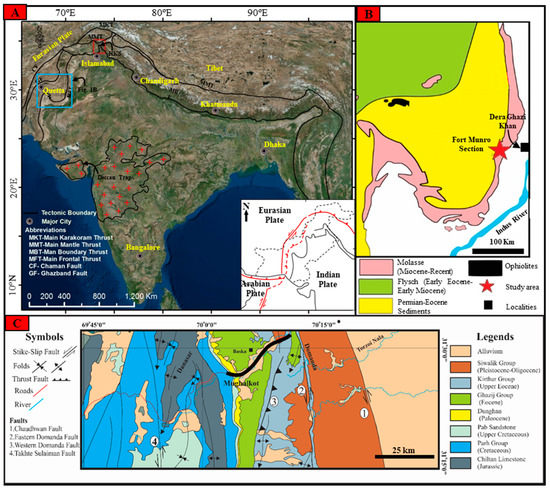 Exhumation of the Higher Himalaya: Insights from Detrital