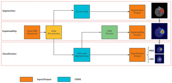 An Explainable Brain Tumor Detection Framework for MRI Analysis