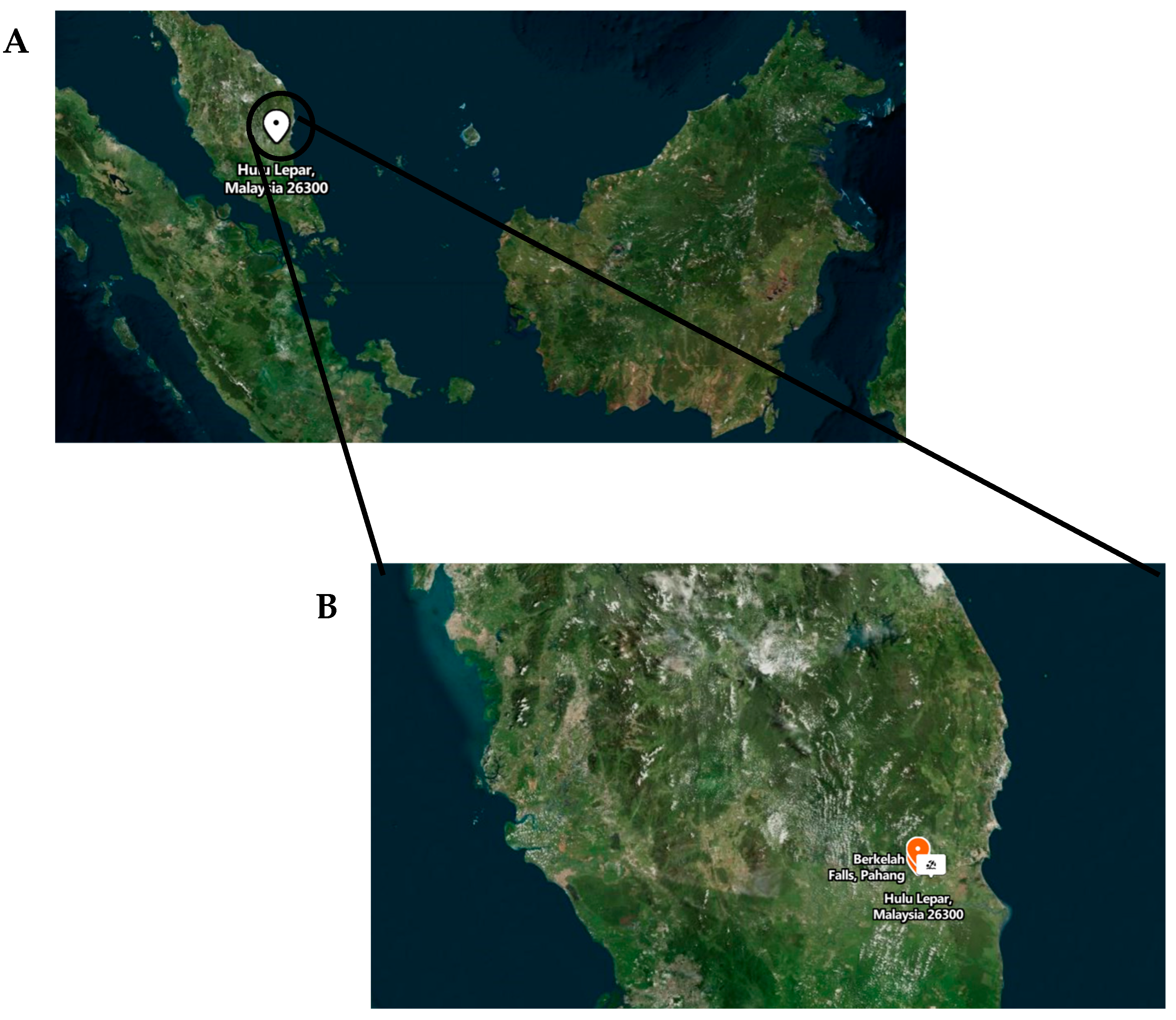 Applsci 13 03450 g003a