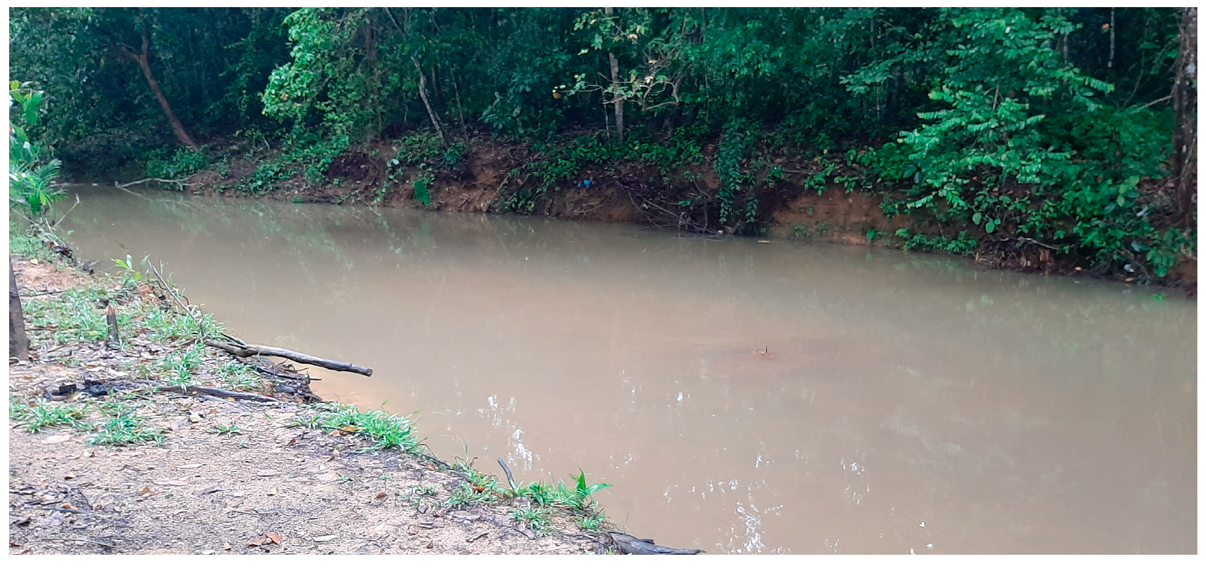 Applsci 13 03450 g004