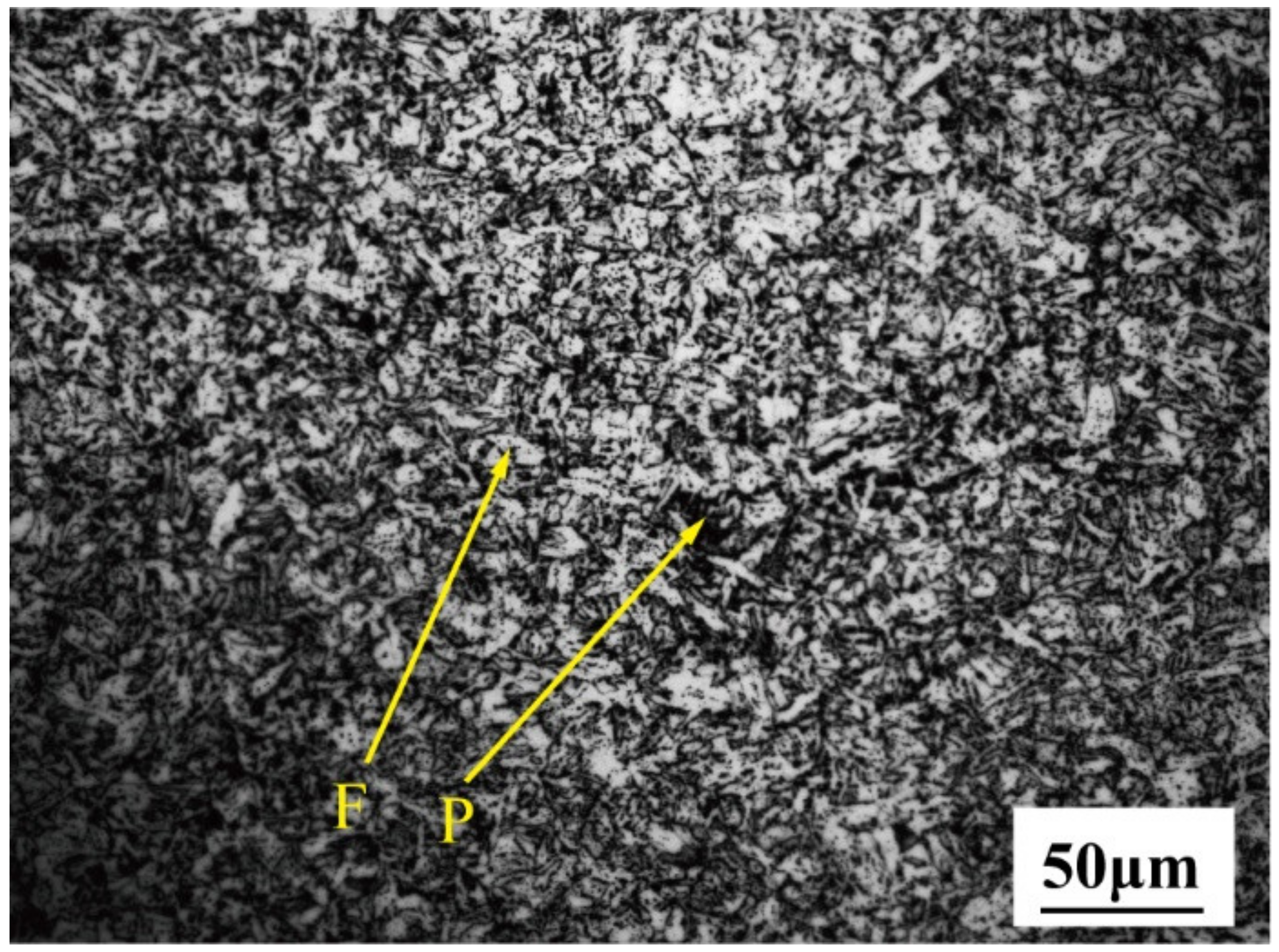 Applsci 13 03490 g001