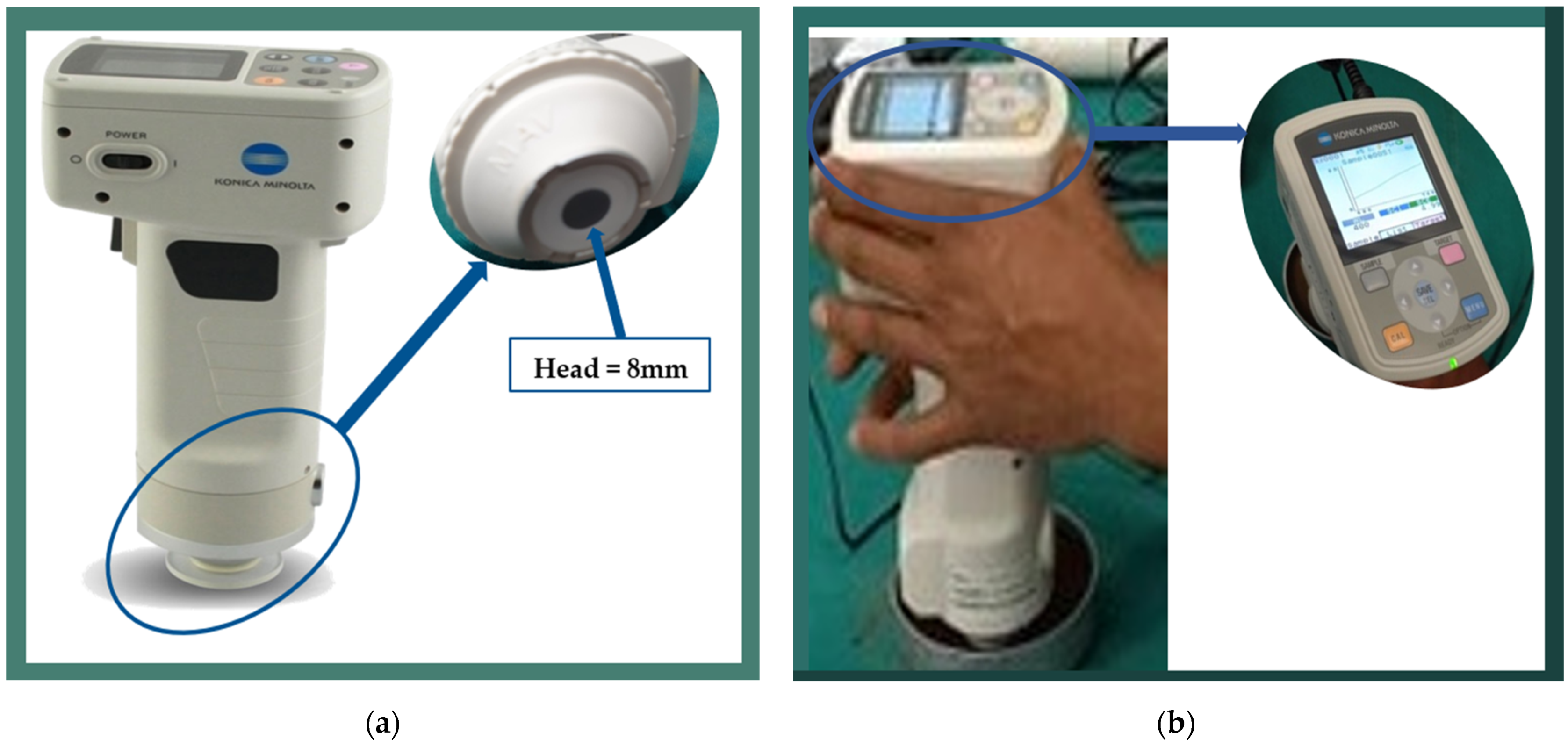 Applsci 13 03498 g003 Applsci 13 03498 g003