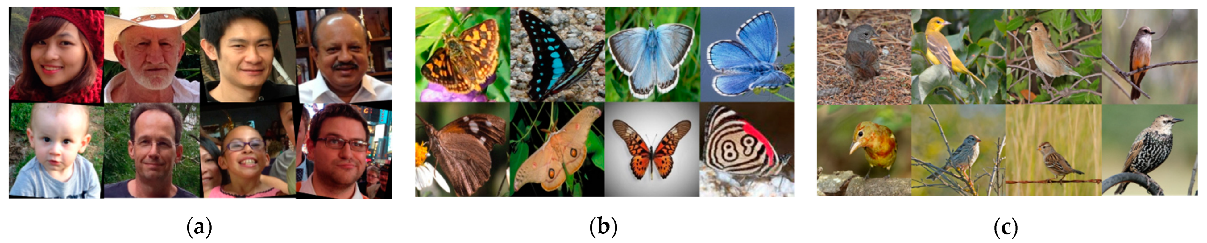 Applsci 13 03505 g007 Applsci 13 03505 g007