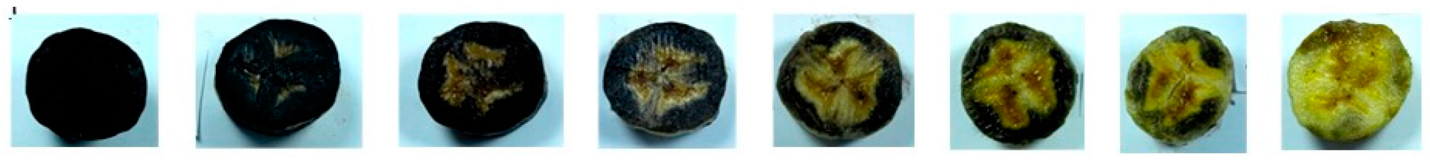 Applsci 13 03533 g004 Applsci 13 03533 g004