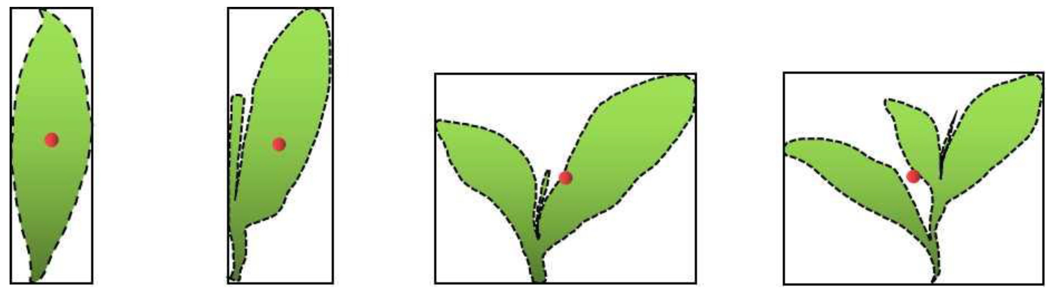 Applsci 13 03551 g005