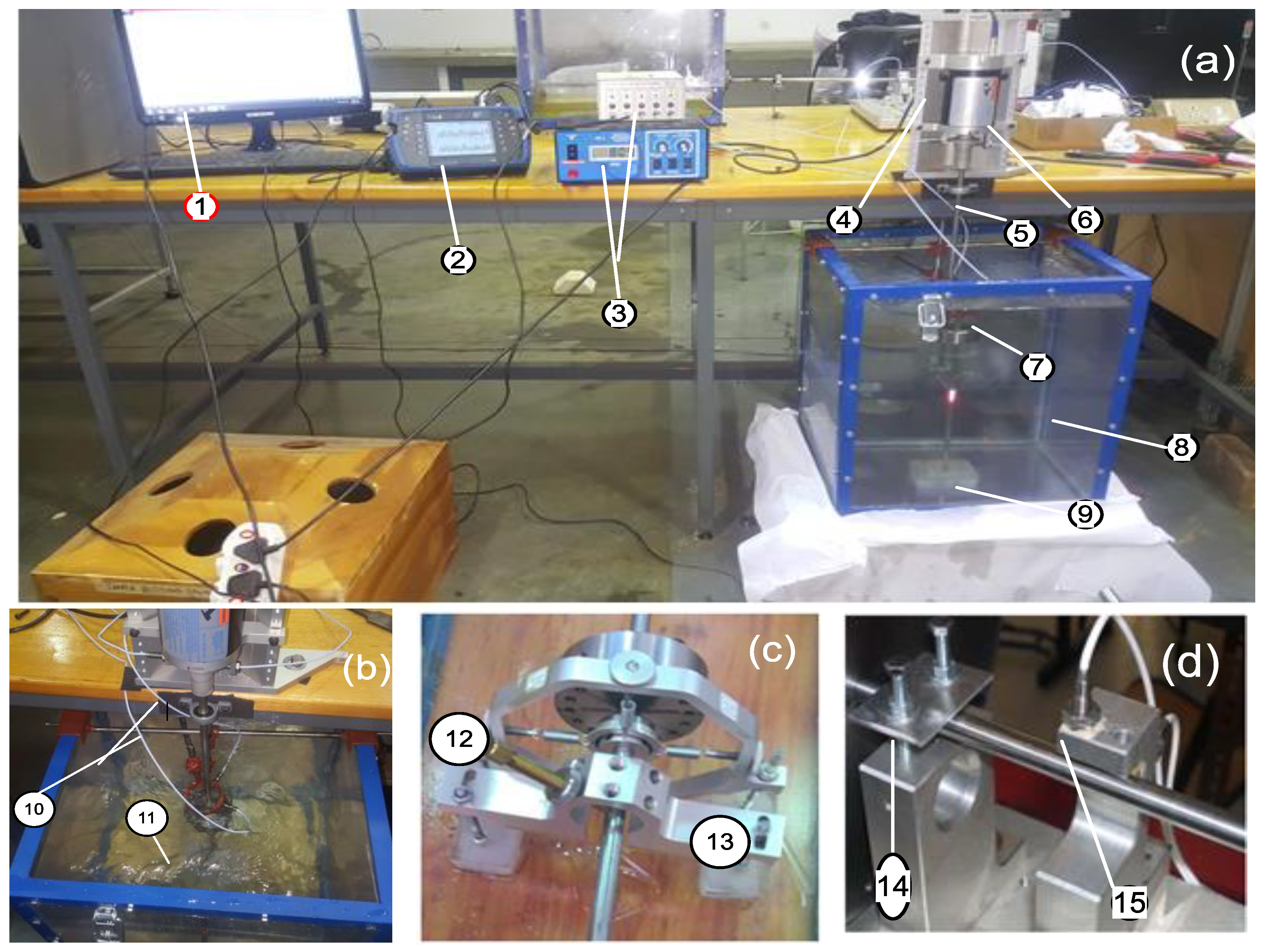 Applsci 13 03557 g005