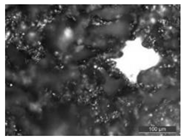 Applsci 13 03582 i003 Applsci 13 03582 i003