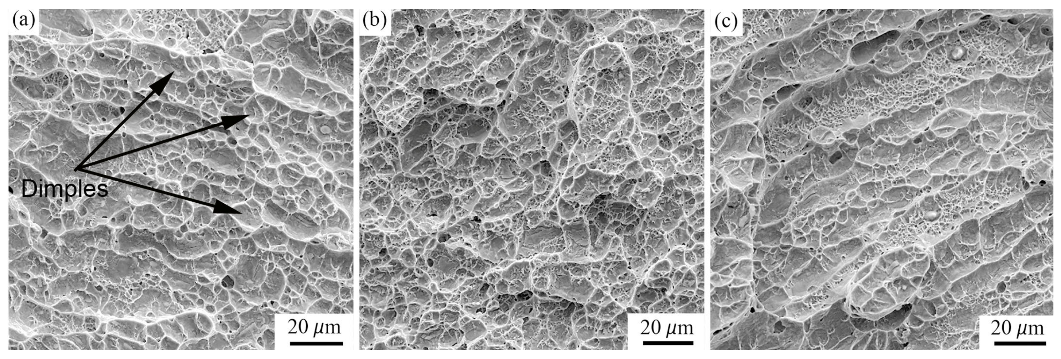 Applsci 13 03584 g017 Applsci 13 03584 g017