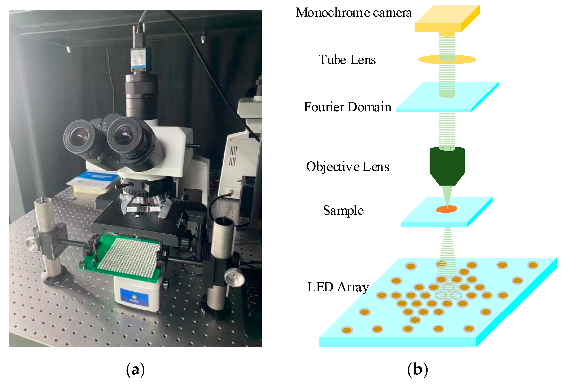Applsci 13 03590 g001 Applsci 13 03590 g001